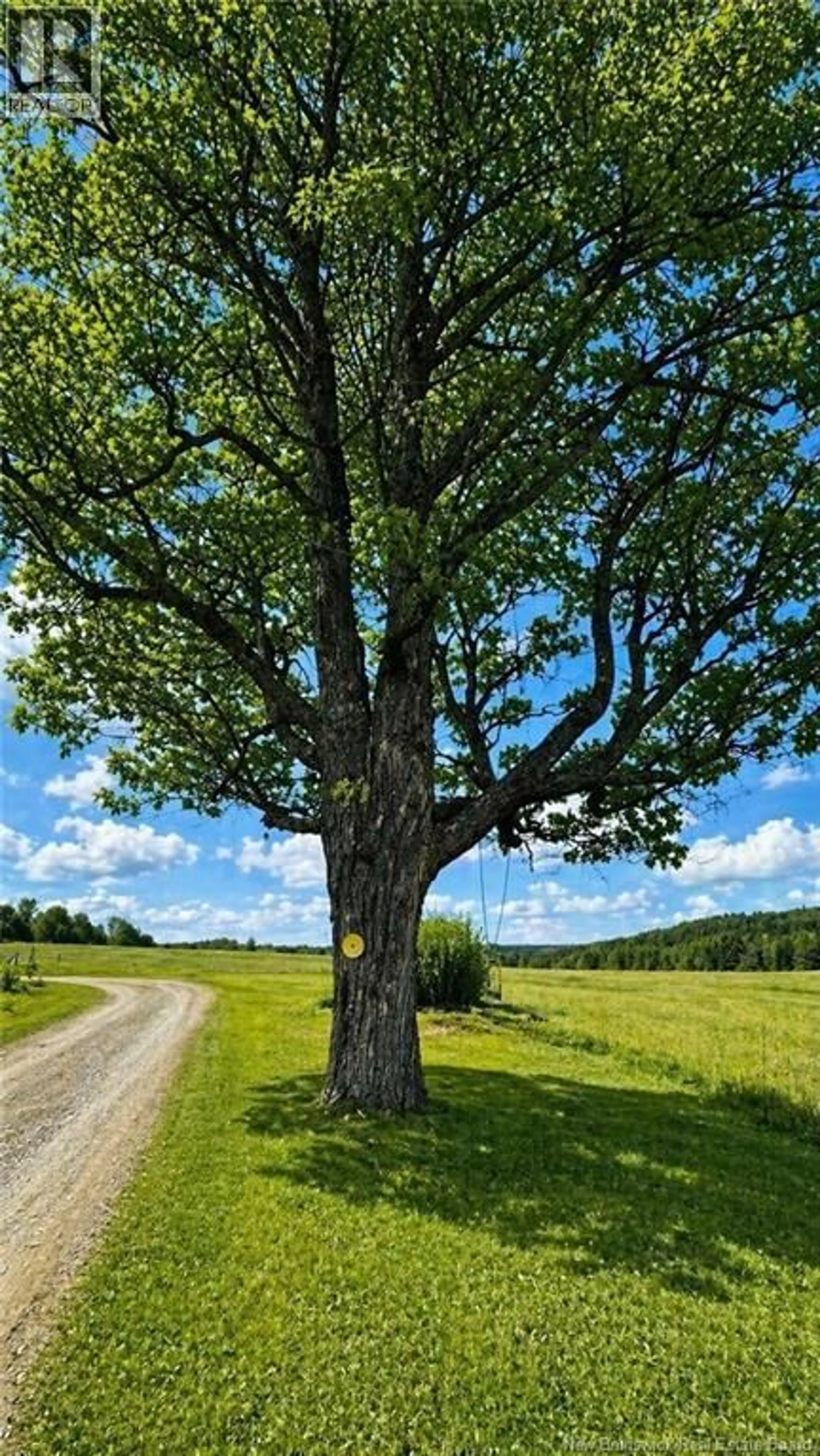 Unknown for 597 CHARLESTON ROAD, Charleston New Brunswick E7K1Z8