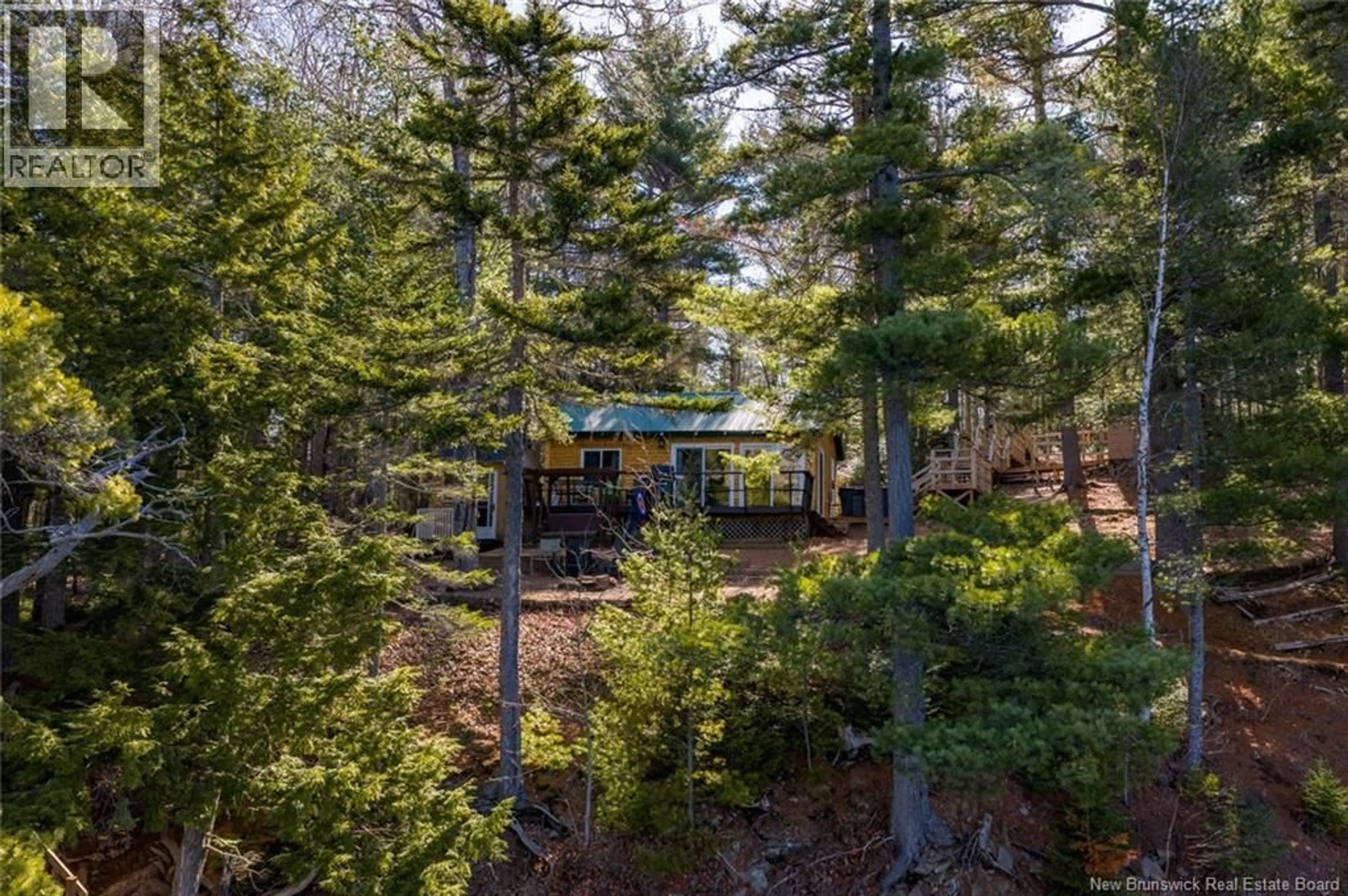 A pic from outside/outdoor area/front of a property/back of a property/a pic from drone, forest/trees view for 45 GESNER LANE, McKees Mills New Brunswick E4V0A1