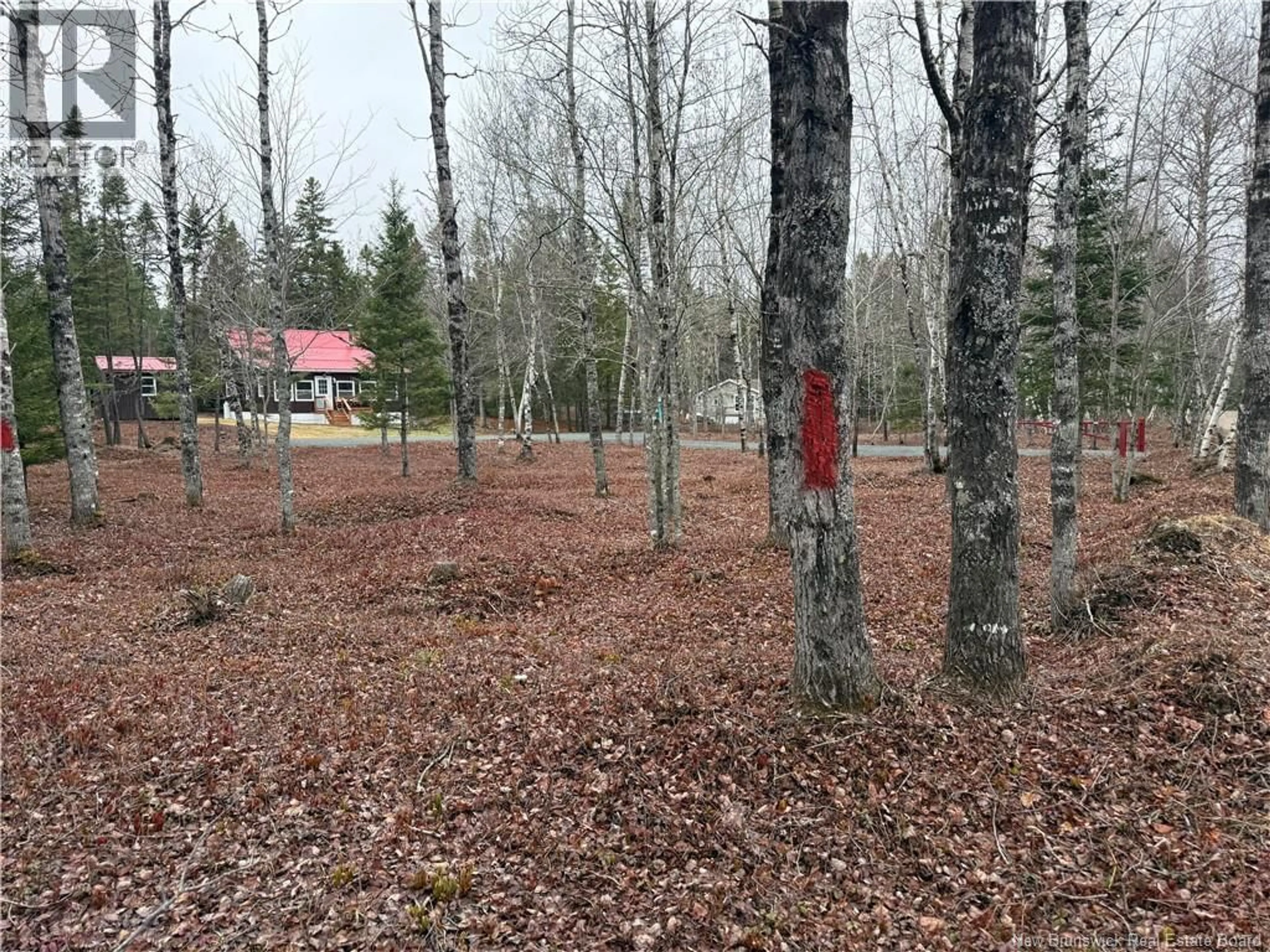 A pic from outside/outdoor area/front of a property/back of a property/a pic from drone, forest/trees view for 44 STILLWATER LANE, Second Falls New Brunswick E5H3E9