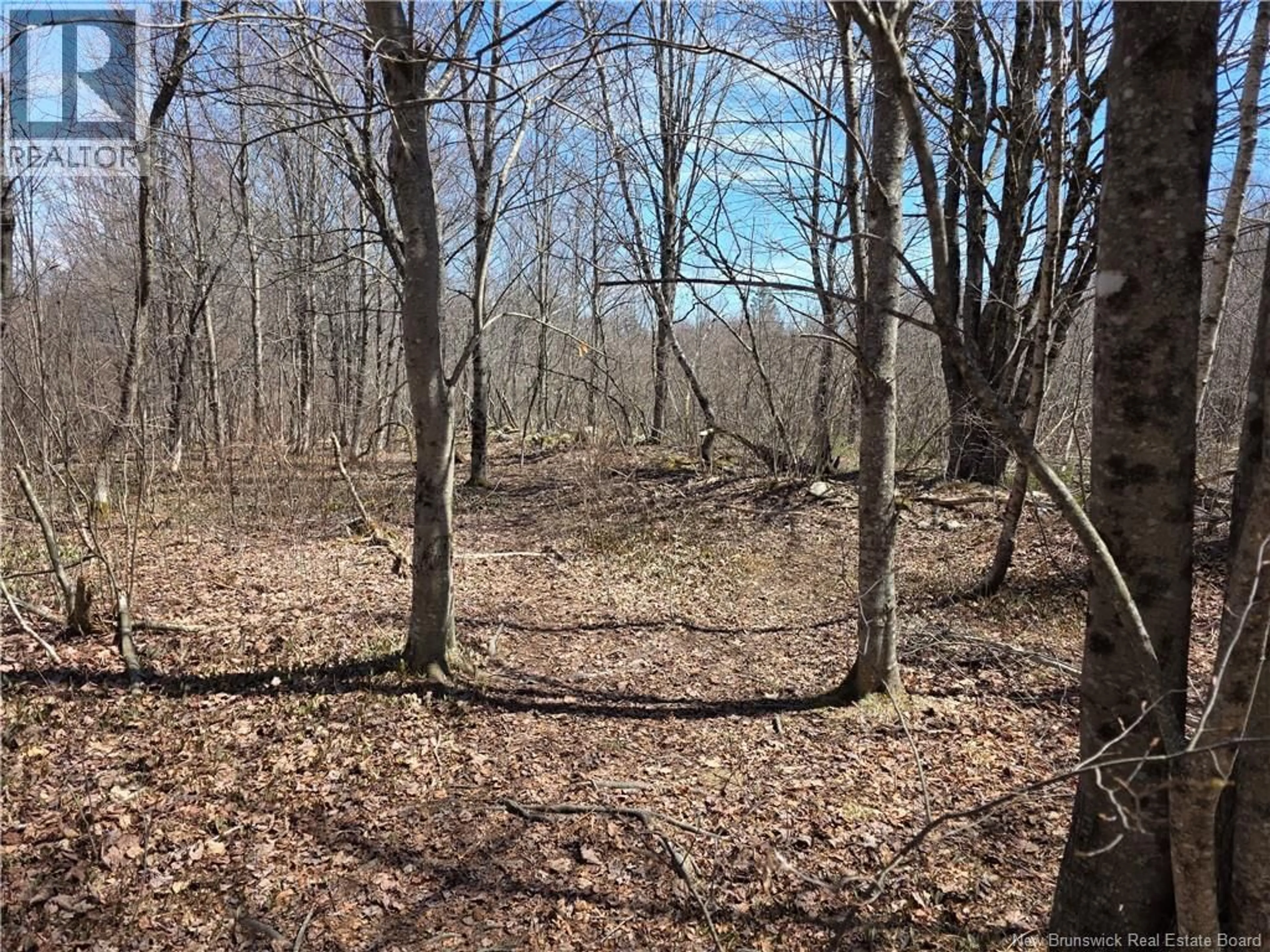 Unknown for 1175 ROUTE 127, Rollingdam New Brunswick E5B3E8
