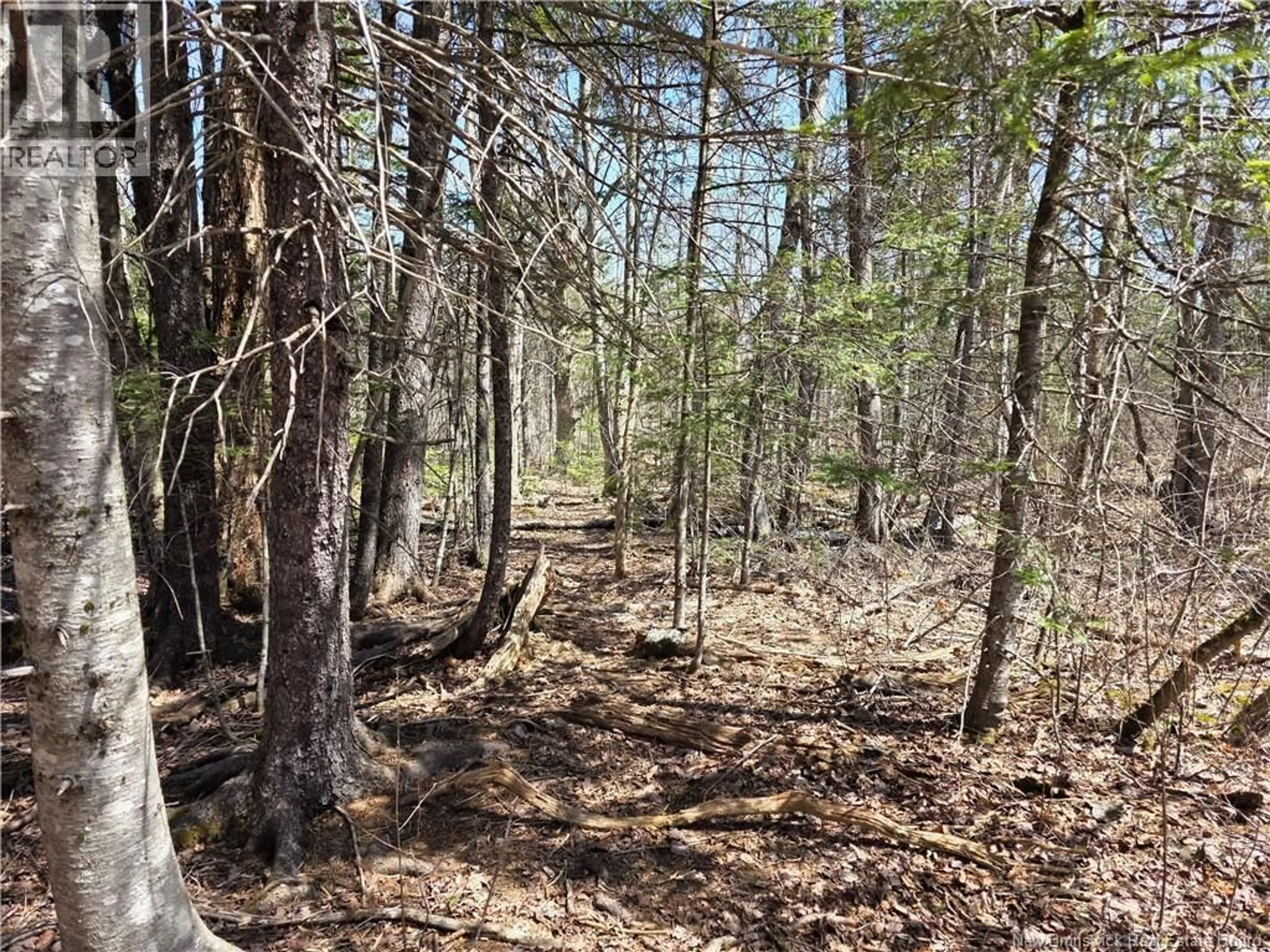 Unknown for 1175 ROUTE 127, Rollingdam New Brunswick E5B3E8