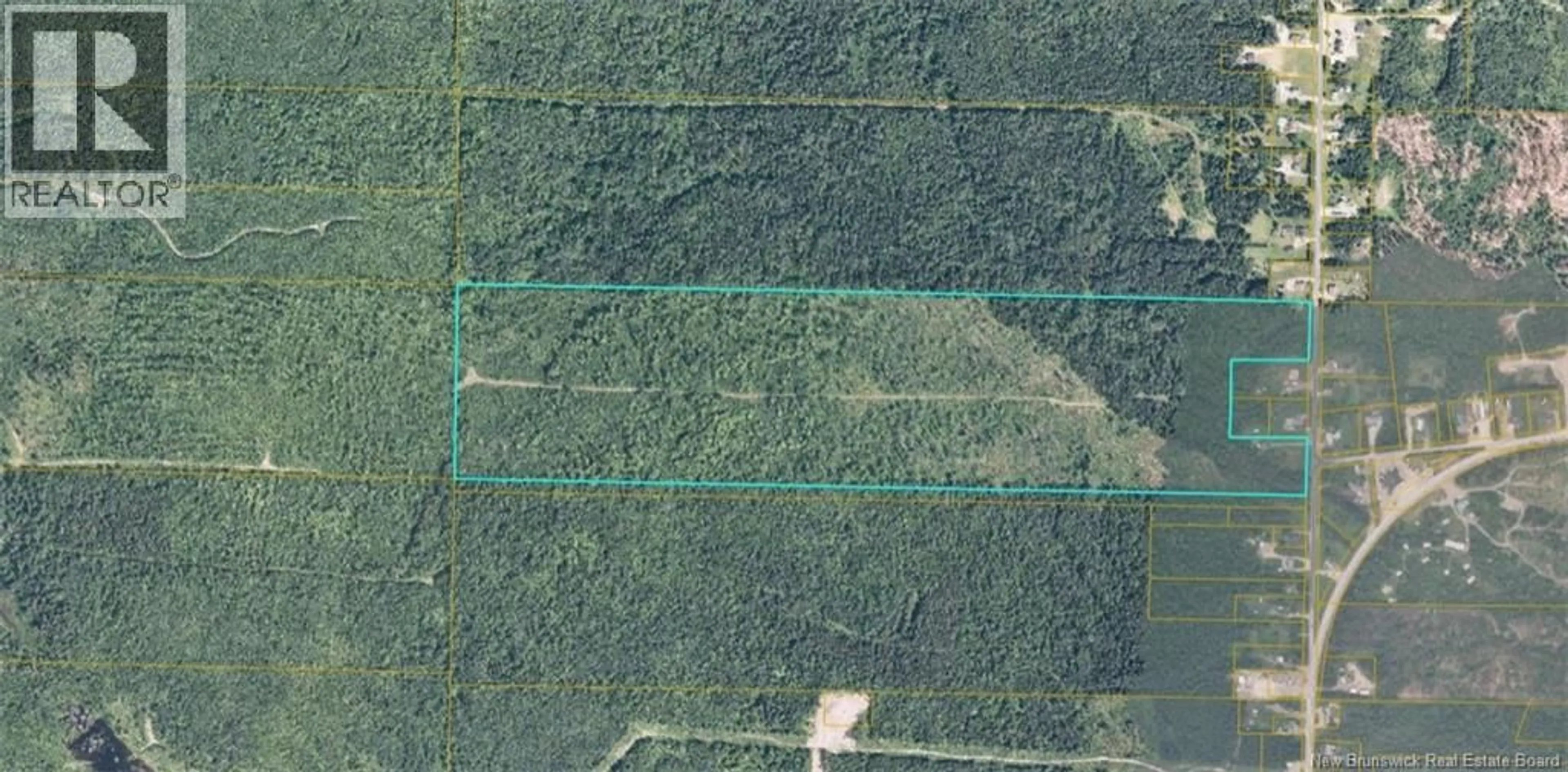 A pic from outside/outdoor area/front of a property/back of a property/a pic from drone, forest/trees view for 35 CH RANG 7 ET 8, Kedgwick New Brunswick E8B1V8