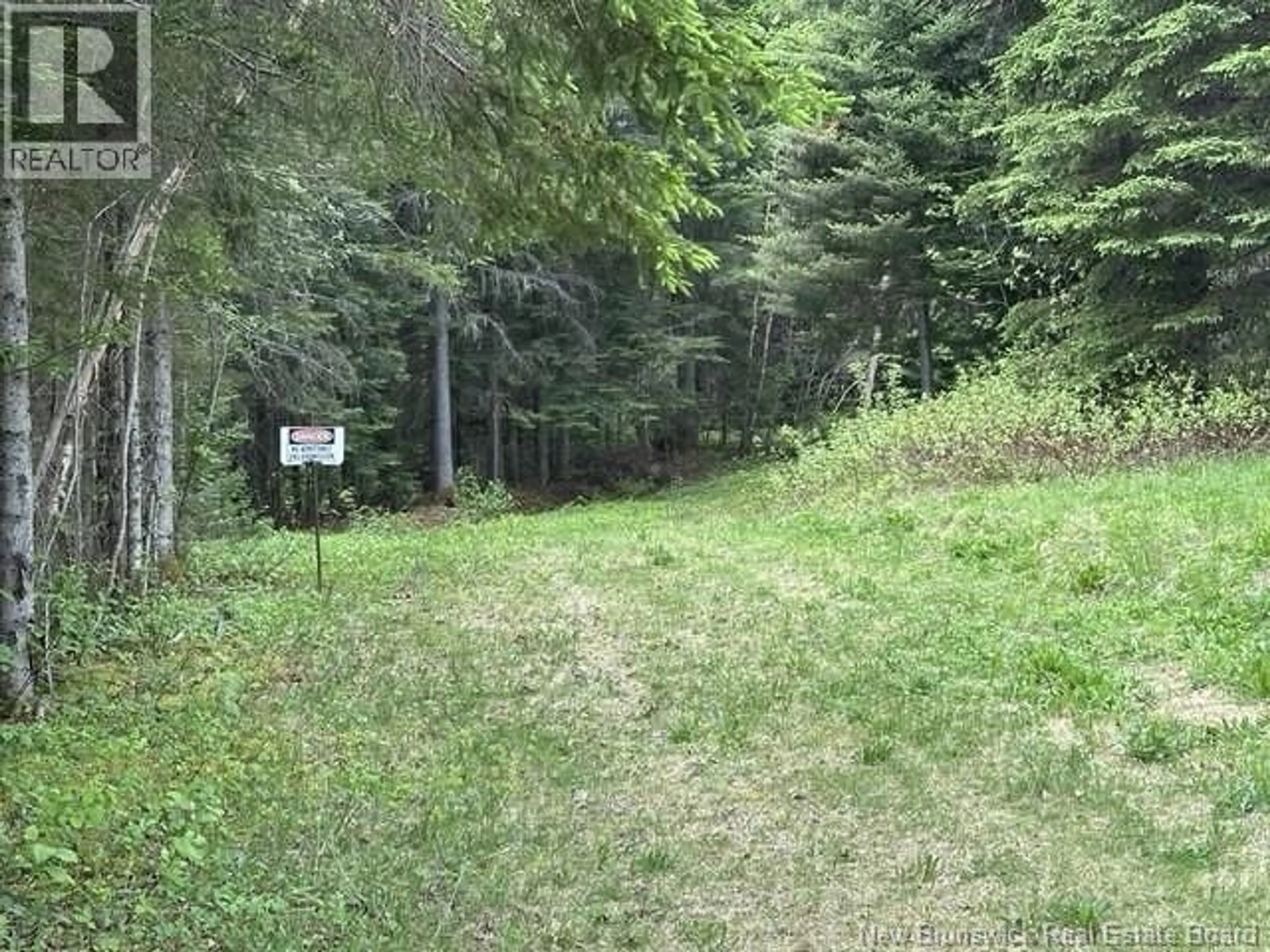 A pic from outside/outdoor area/front of a property/back of a property/a pic from drone, forest/trees view for 35 CH RANG 7 ET 8, Kedgwick New Brunswick E8B1V8