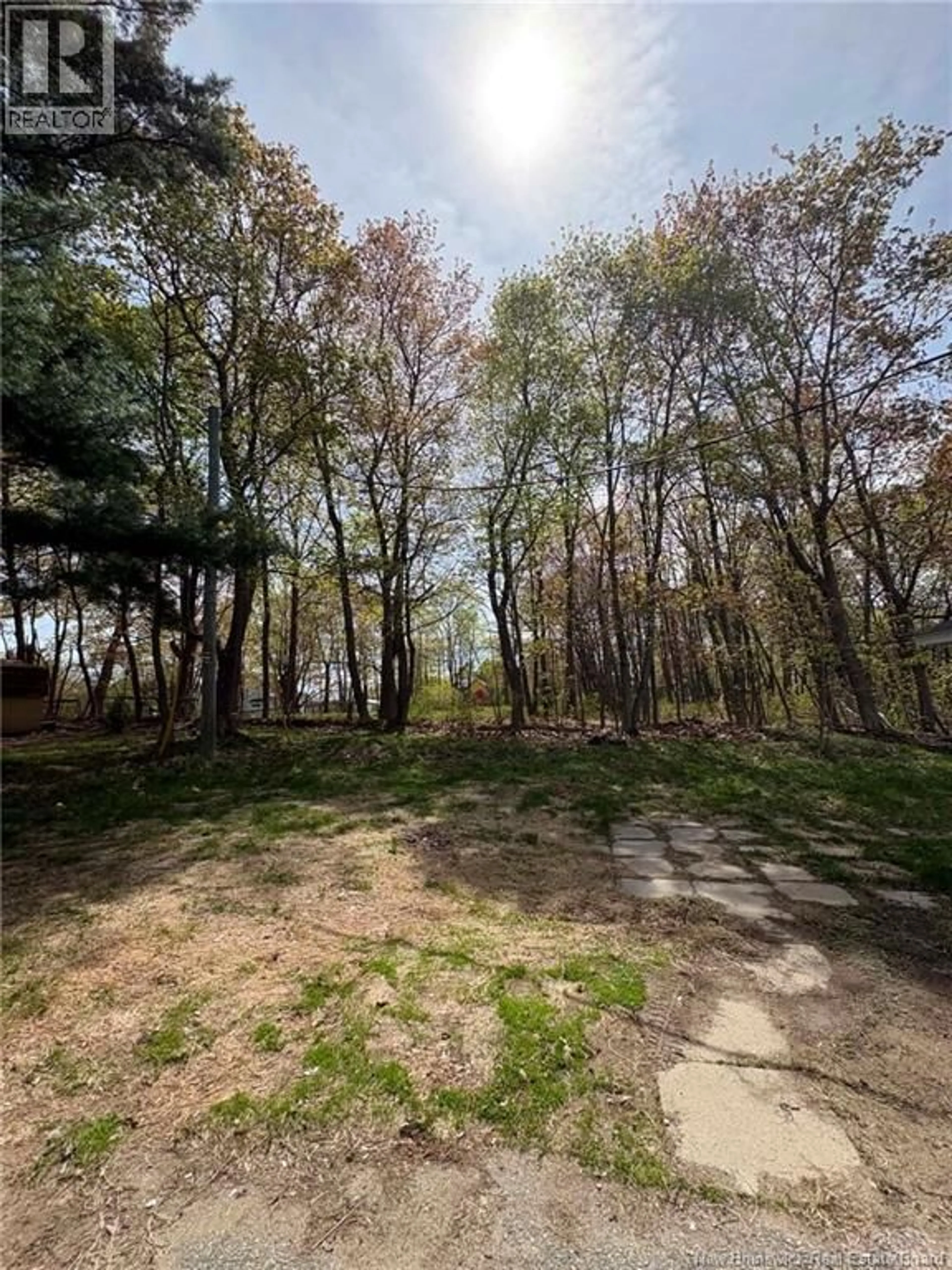 A pic from outside/outdoor area/front of a property/back of a property/a pic from drone, forest/trees view for 22 WARREN AVENUE, Miramichi New Brunswick E1N2J3