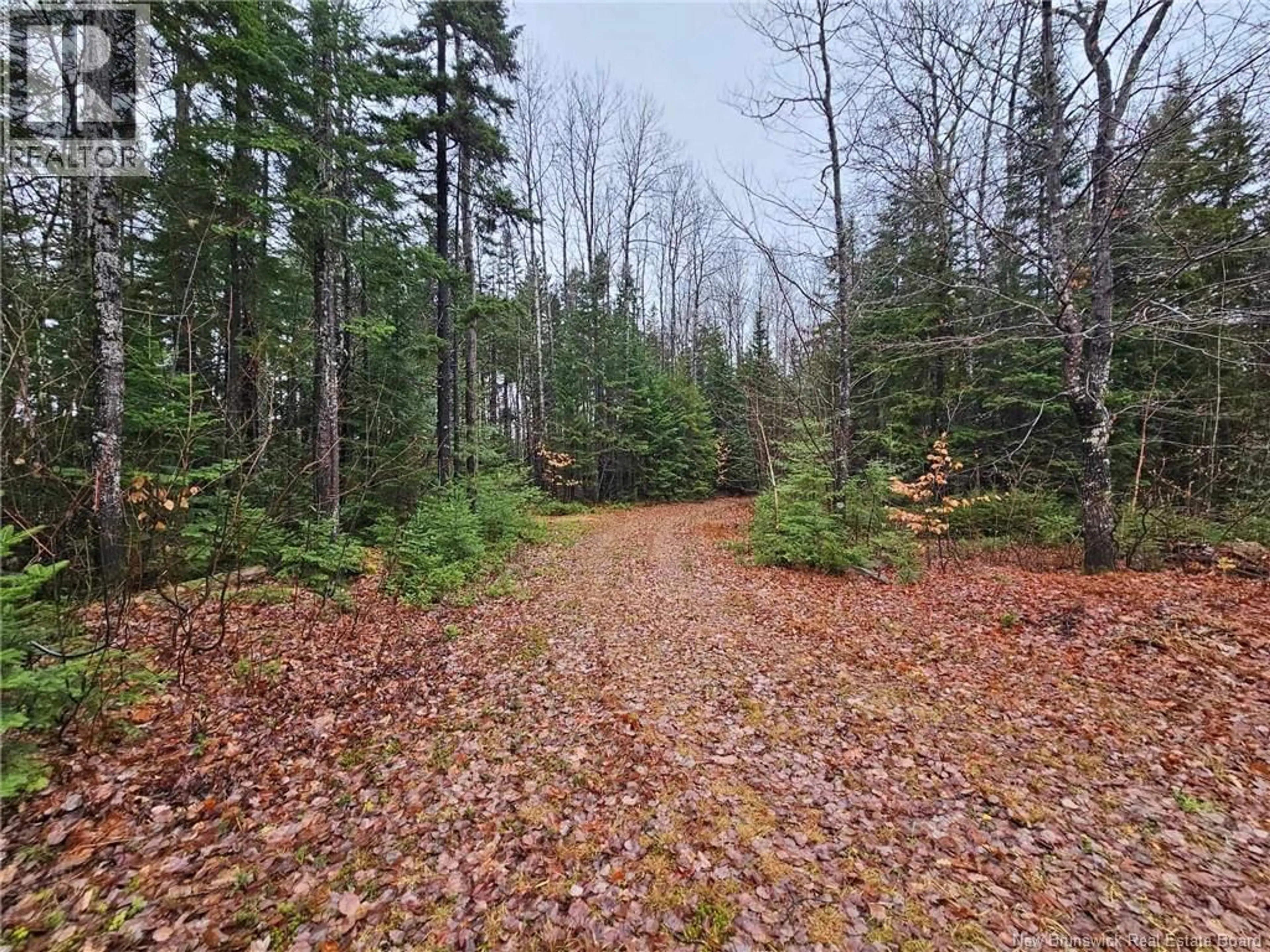 A pic from outside/outdoor area/front of a property/back of a property/a pic from drone, forest/trees view for 940 NEPISIGUIT FALLS, Nepisiguit Falls New Brunswick E2A6W8