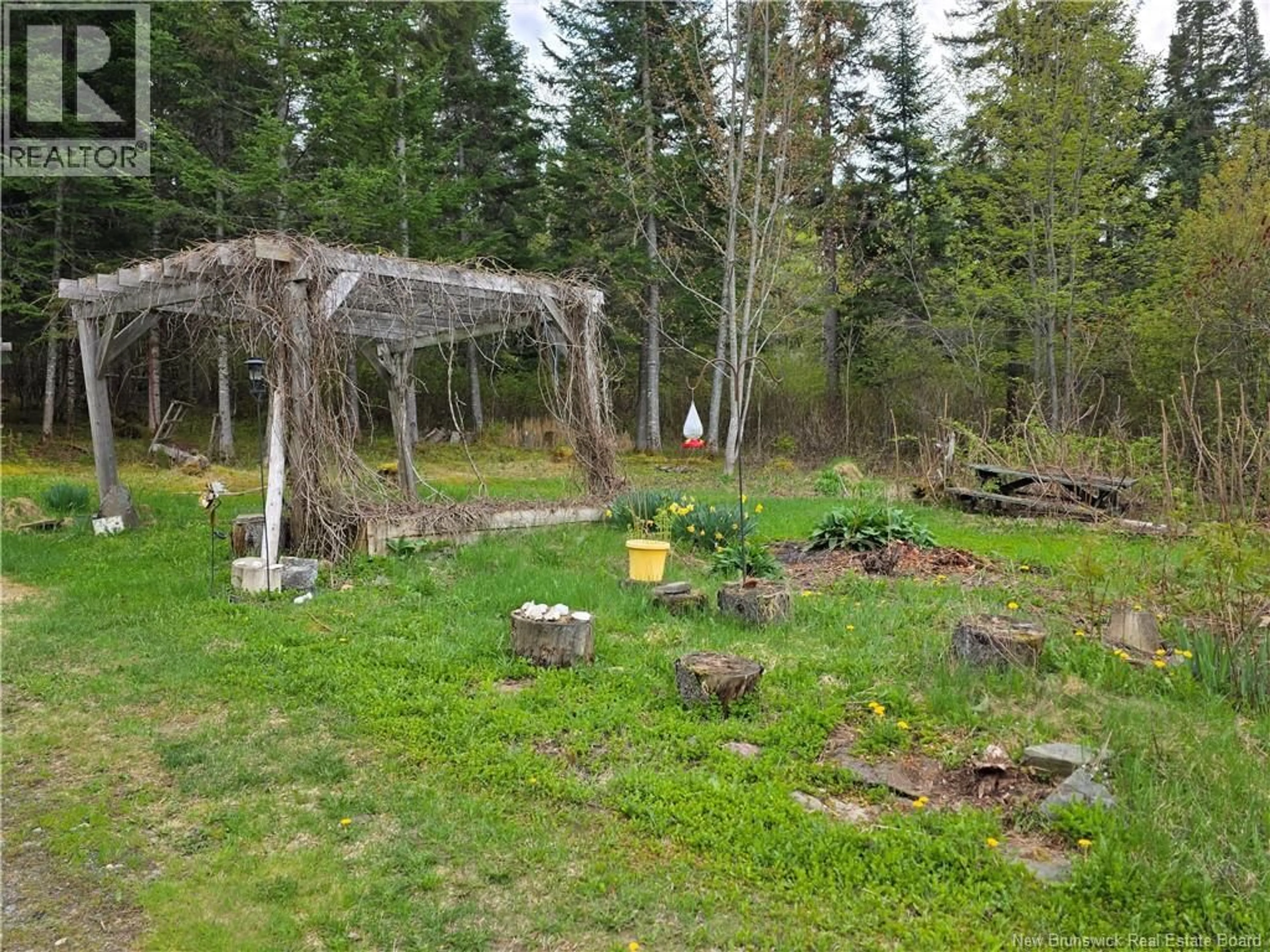A pic from outside/outdoor area/front of a property/back of a property/a pic from drone, forest/trees view for 4098 ROUTE 385, Nictau New Brunswick E7H3B1