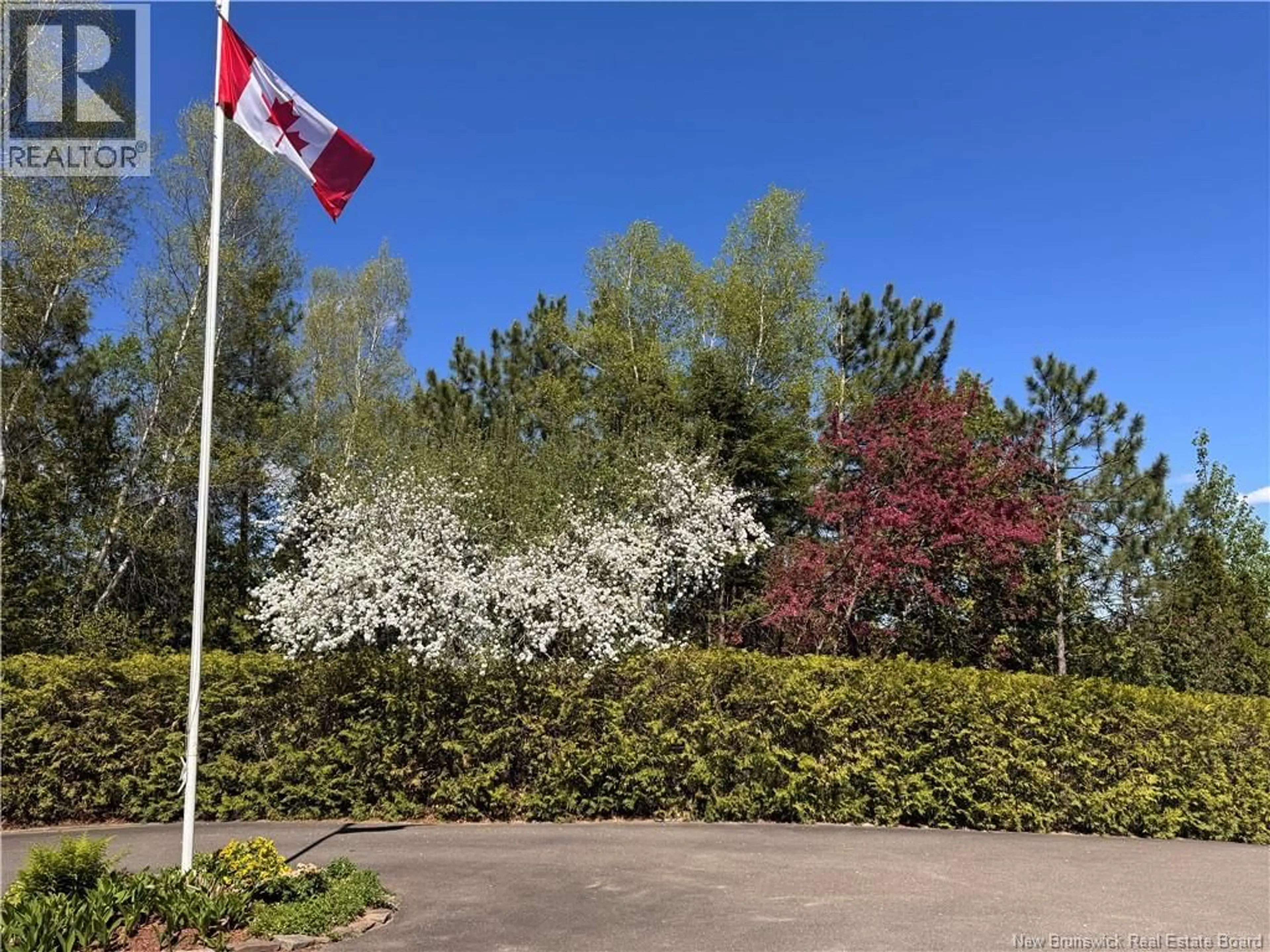 A pic from outside/outdoor area/front of a property/back of a property/a pic from drone, forest/trees view for 141-151 WETMORE ROAD, Fredericton New Brunswick E3B6Y2