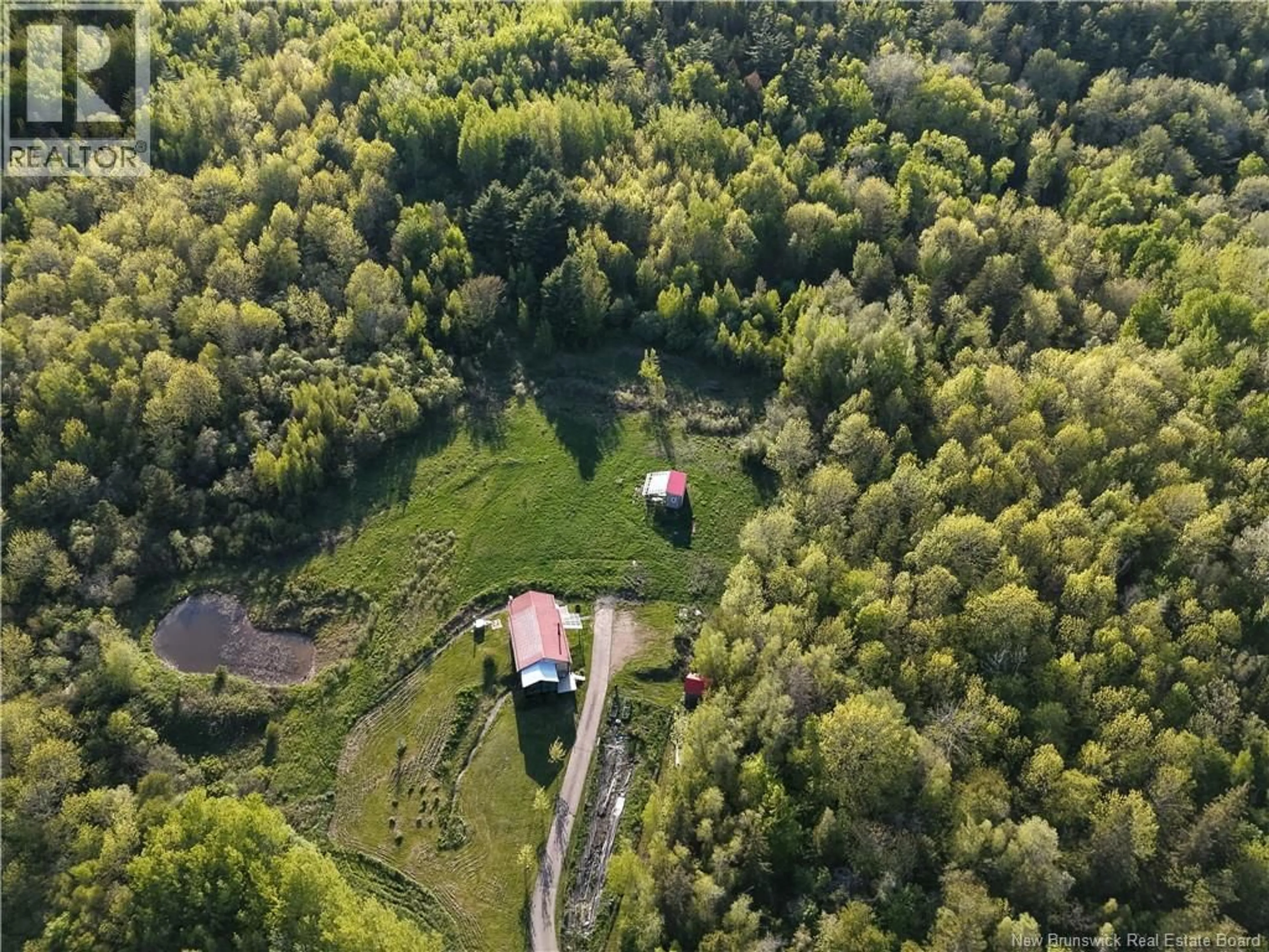 A pic from outside/outdoor area/front of a property/back of a property/a pic from drone, forest/trees view for 236 MILL BROOK ROAD, Mill Brook New Brunswick E4E3V8