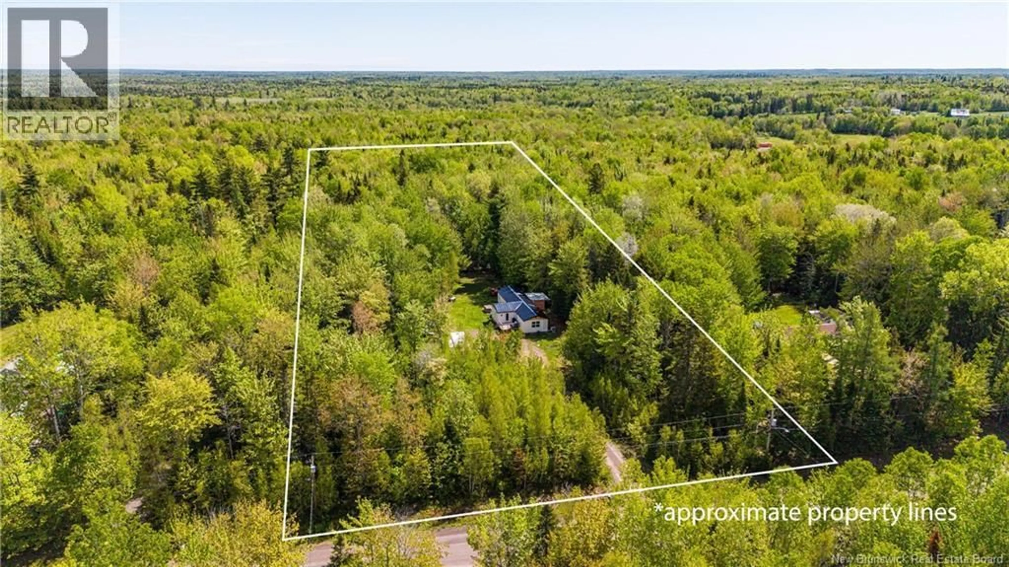 A pic from outside/outdoor area/front of a property/back of a property/a pic from drone, forest/trees view for 165 MACLEAN CROSSROAD, Irishtown New Brunswick E1H1Y1