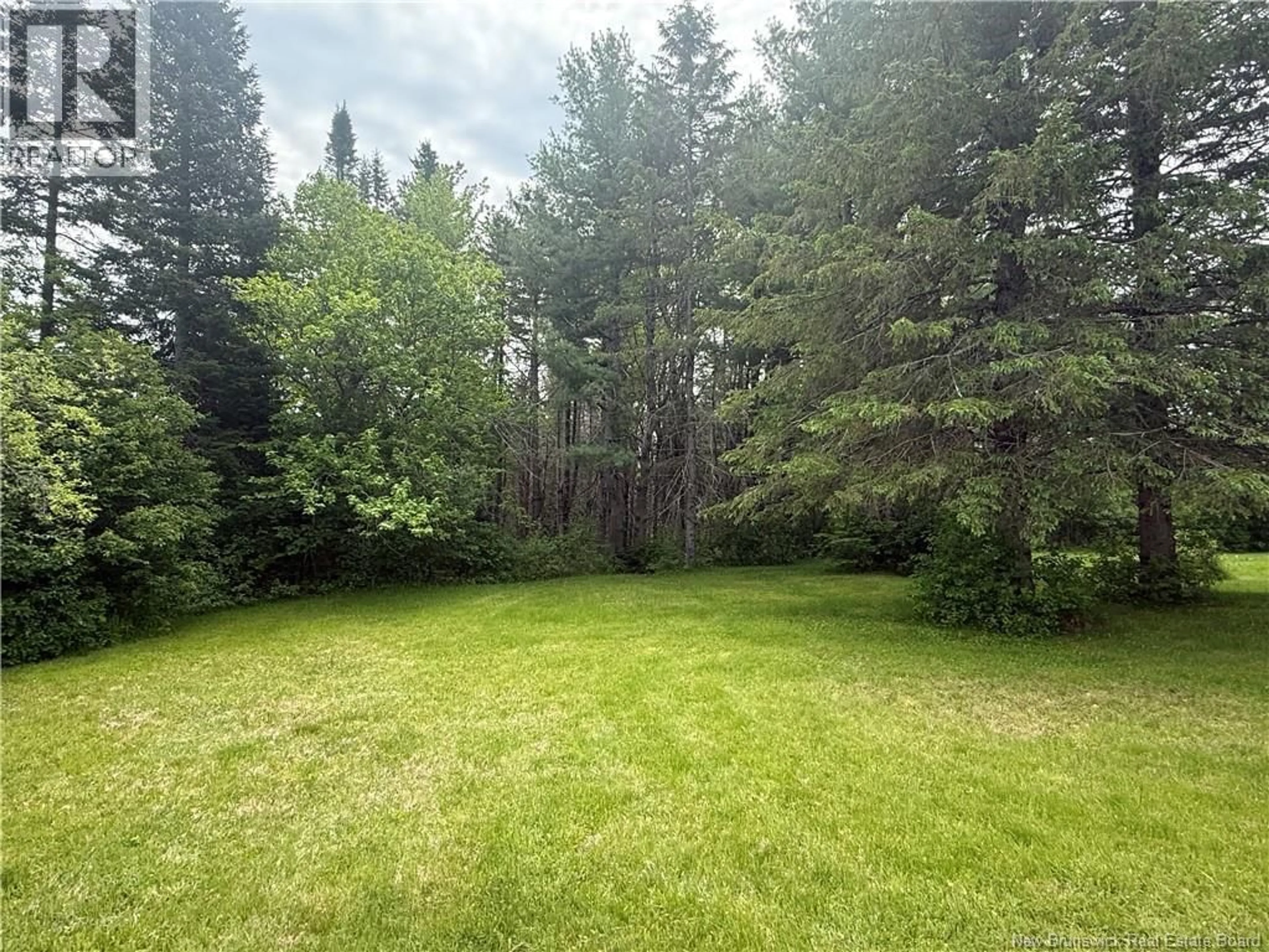 A pic from outside/outdoor area/front of a property/back of a property/a pic from drone, forest/trees view for 8 NORTH BLACK RIVER ROAD, Black River Bridge New Brunswick E1N5S4