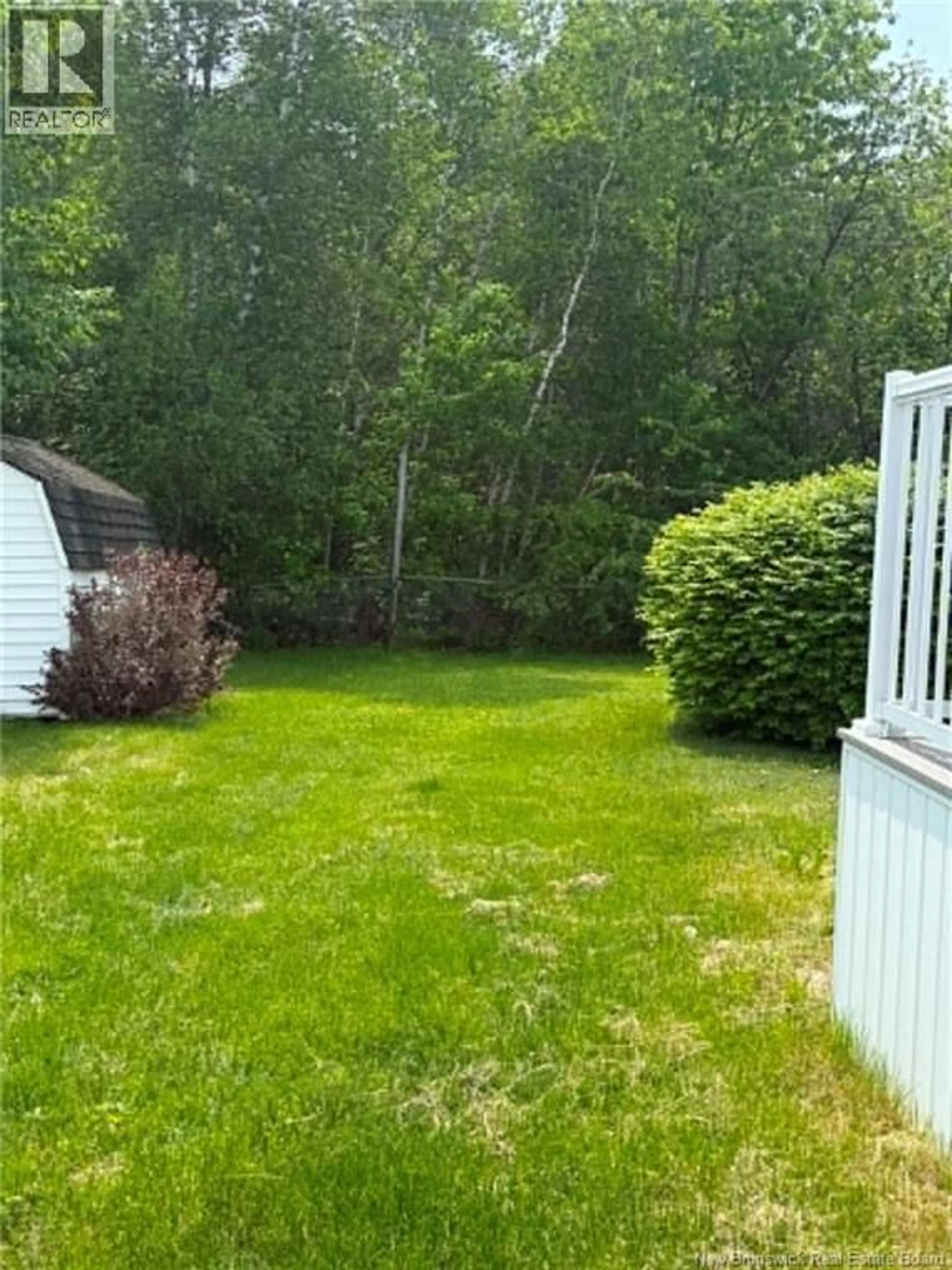 Shed for 26 CROSBY CRESCENT, Miramichi New Brunswick E1N3C6