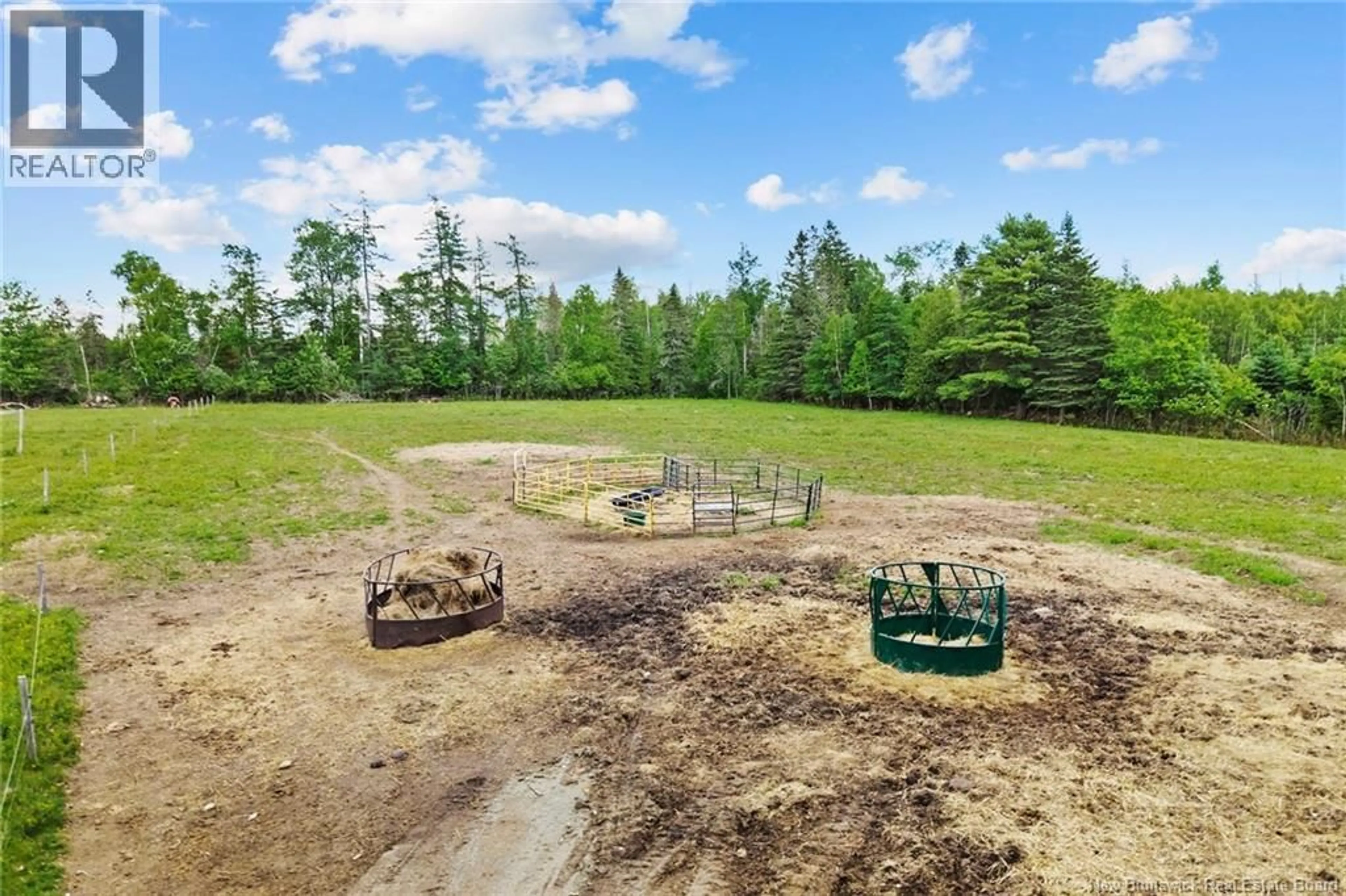 A pic from outside/outdoor area/front of a property/back of a property/a pic from drone, forest/trees view for 99 ROUTE 755, Honeydale New Brunswick E5A1P4