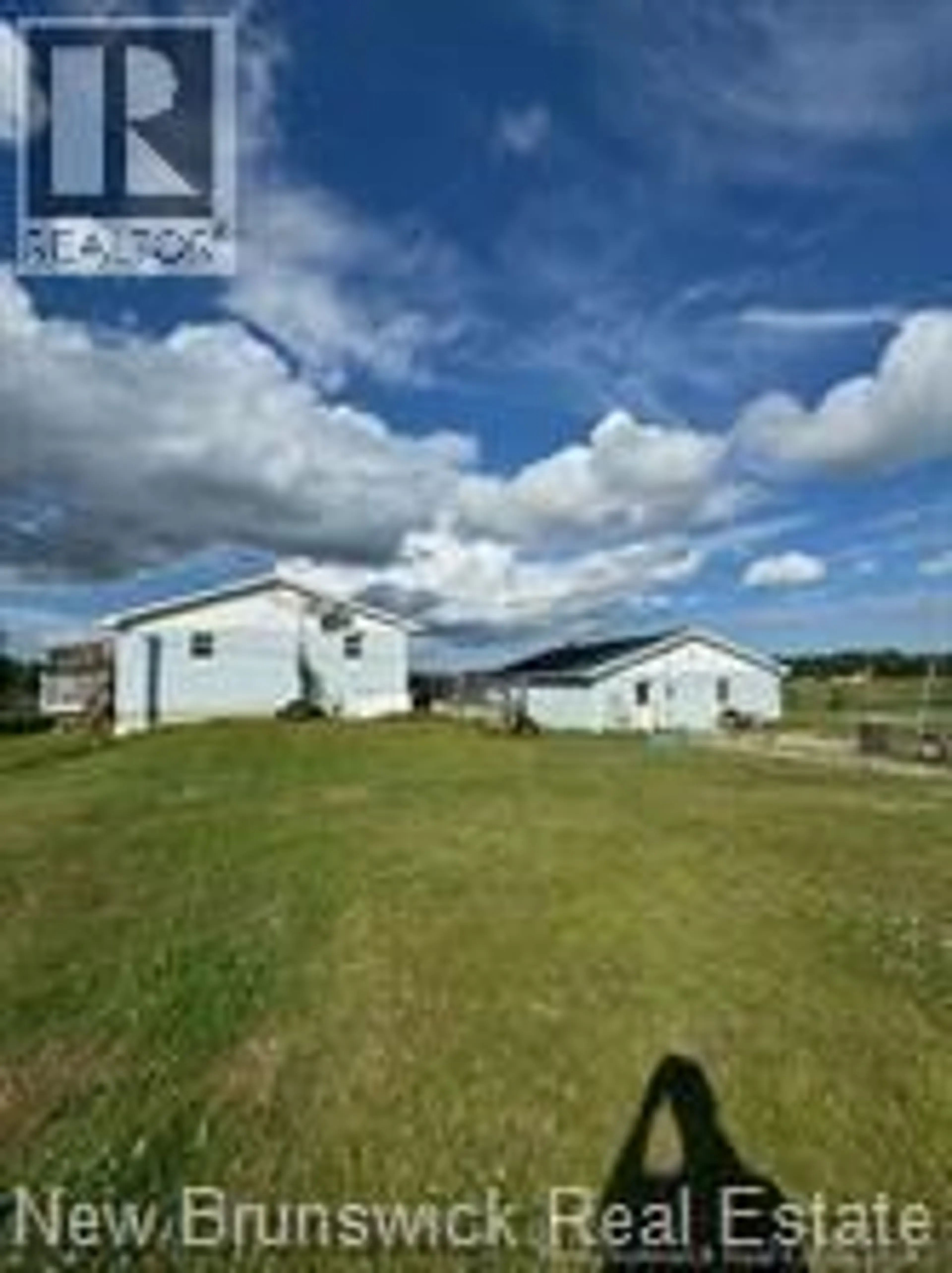 A pic from outside/outdoor area/front of a property/back of a property/a pic from drone, building for 8239 ROUTE 117, Black River Bridge New Brunswick E1N5K4
