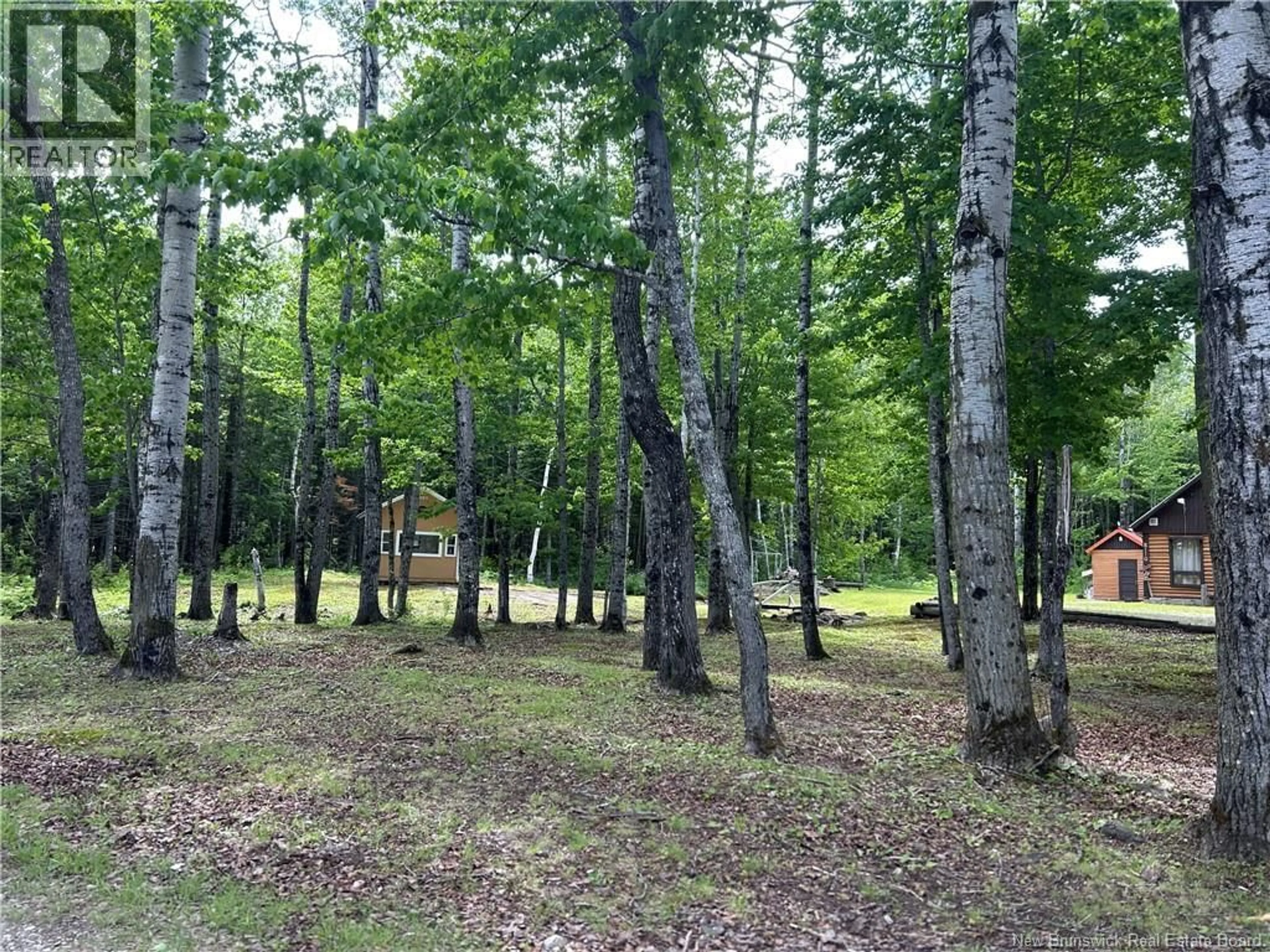A pic from outside/outdoor area/front of a property/back of a property/a pic from drone, forest/trees view for 3110 PABINEAU FALLS ROAD, Pabineau Falls New Brunswick E2A6W4
