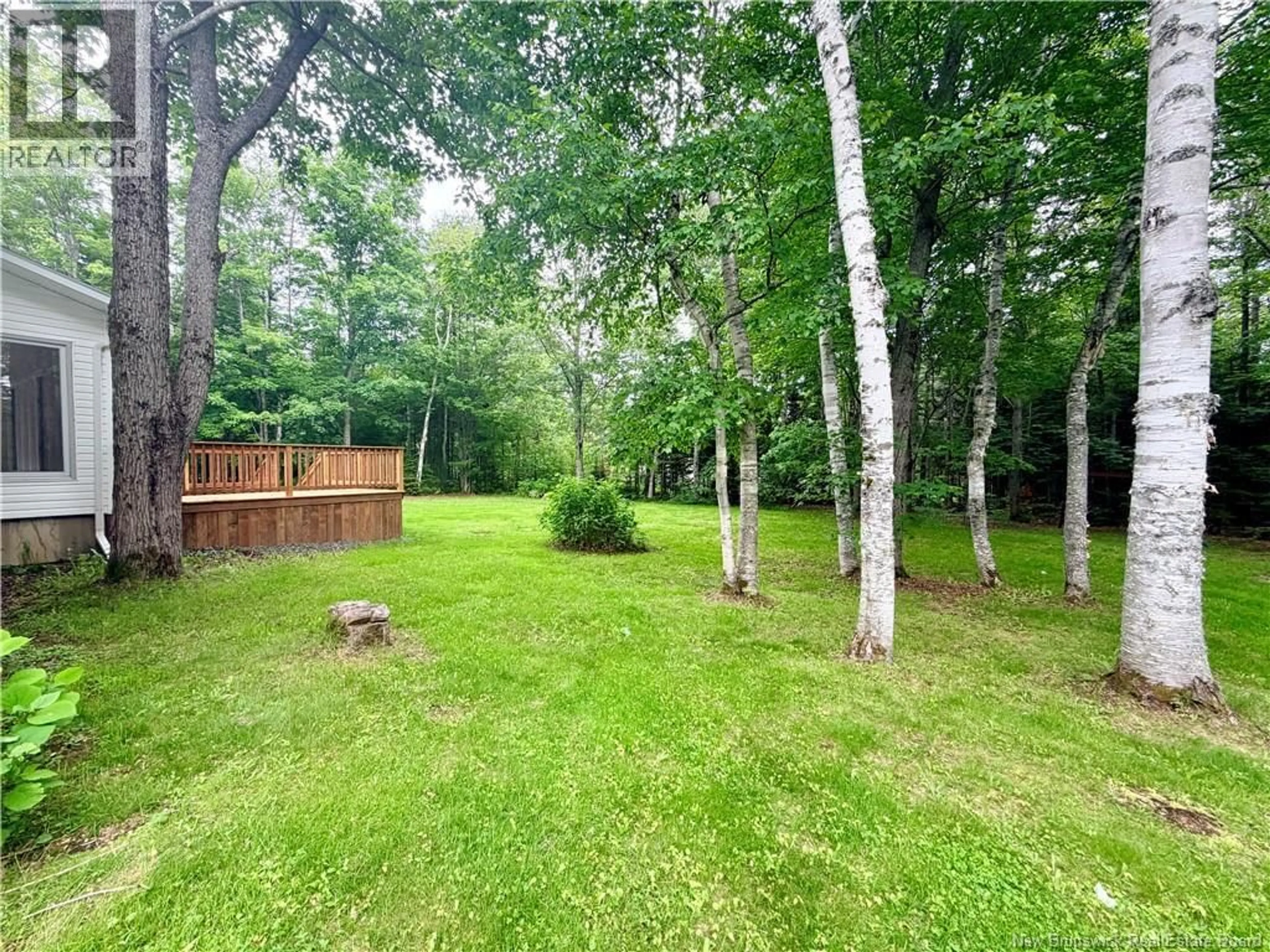 A pic from outside/outdoor area/front of a property/back of a property/a pic from drone, forest/trees view for 438 MCKINNON, Miramichi New Brunswick E1V6G2