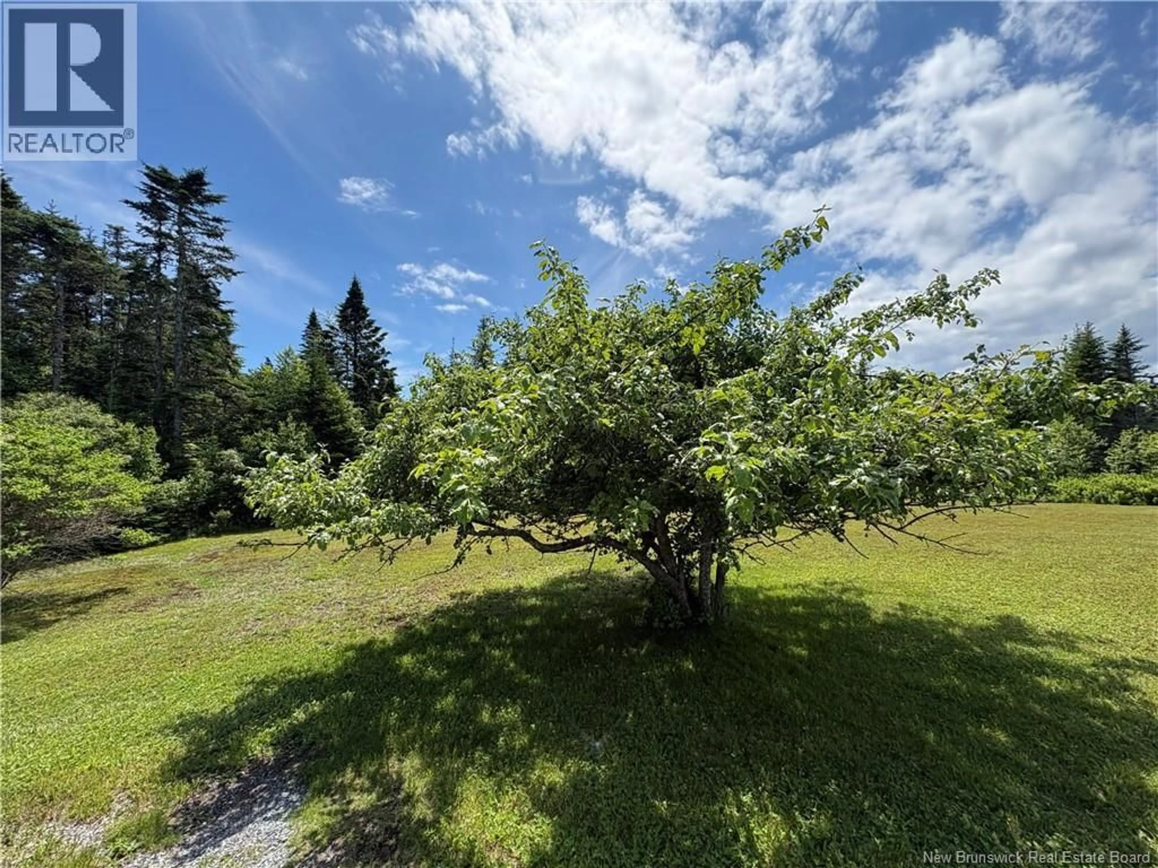 A pic from outside/outdoor area/front of a property/back of a property/a pic from drone, forest/trees view for 961 ROUTE 790, Maces Bay New Brunswick E5J1S1