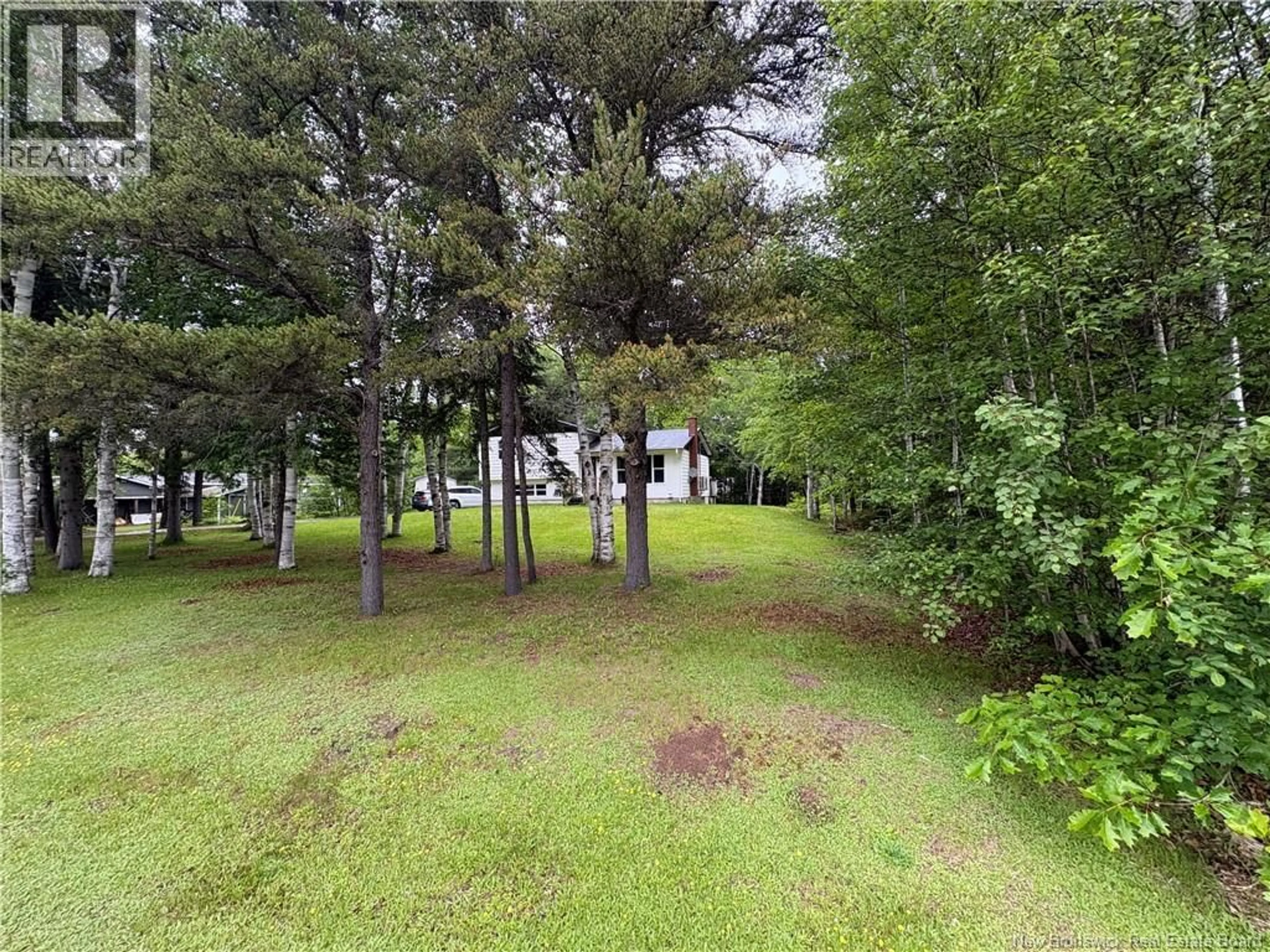 A pic from outside/outdoor area/front of a property/back of a property/a pic from drone, forest/trees view for 3 HONEY STREET, Chatham New Brunswick E1N3R7