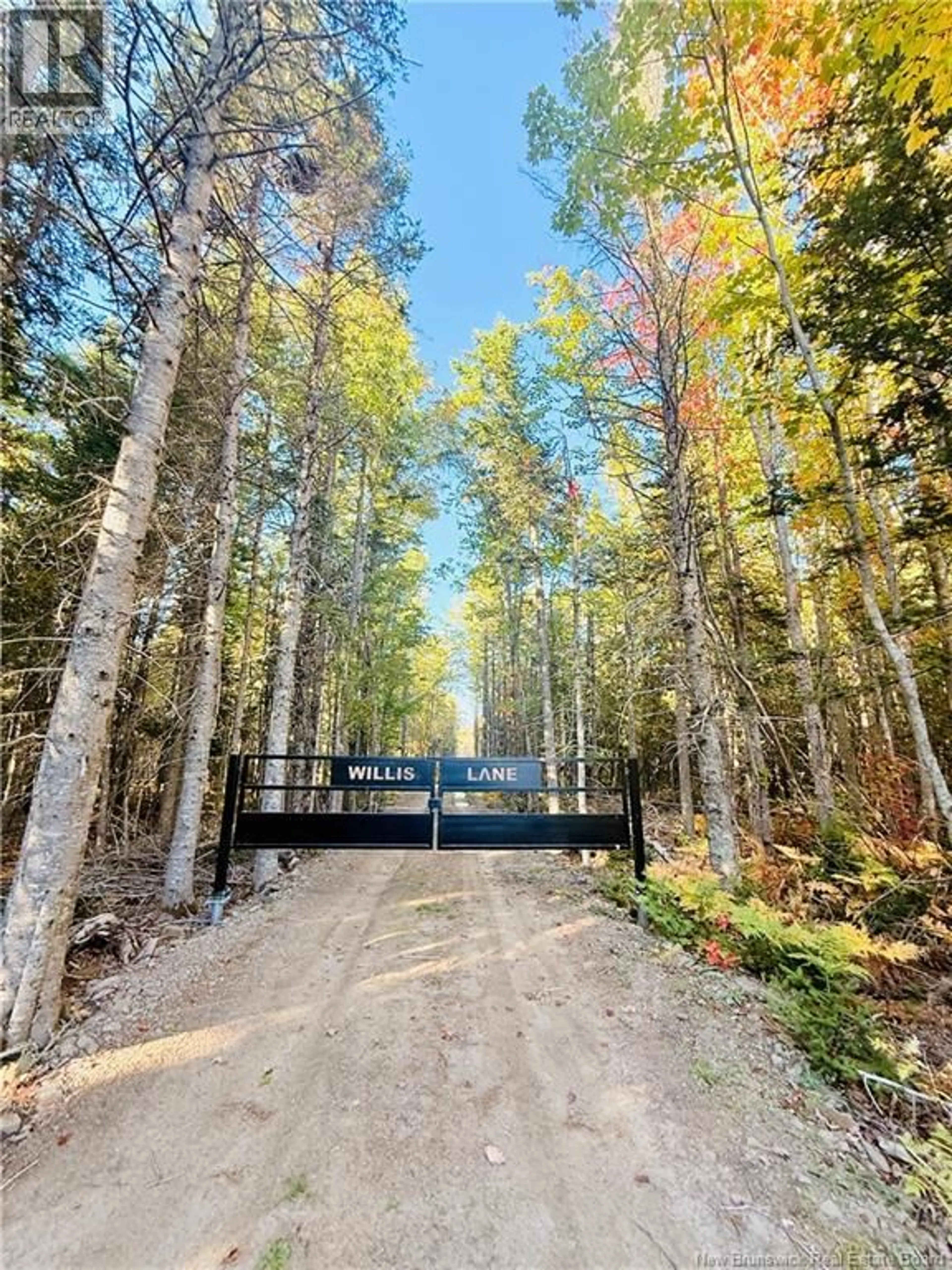 A pic from outside/outdoor area/front of a property/back of a property/a pic from drone, forest/trees view for 731 POINTE AUX CARR ROAD, Napan New Brunswick E1N4X8