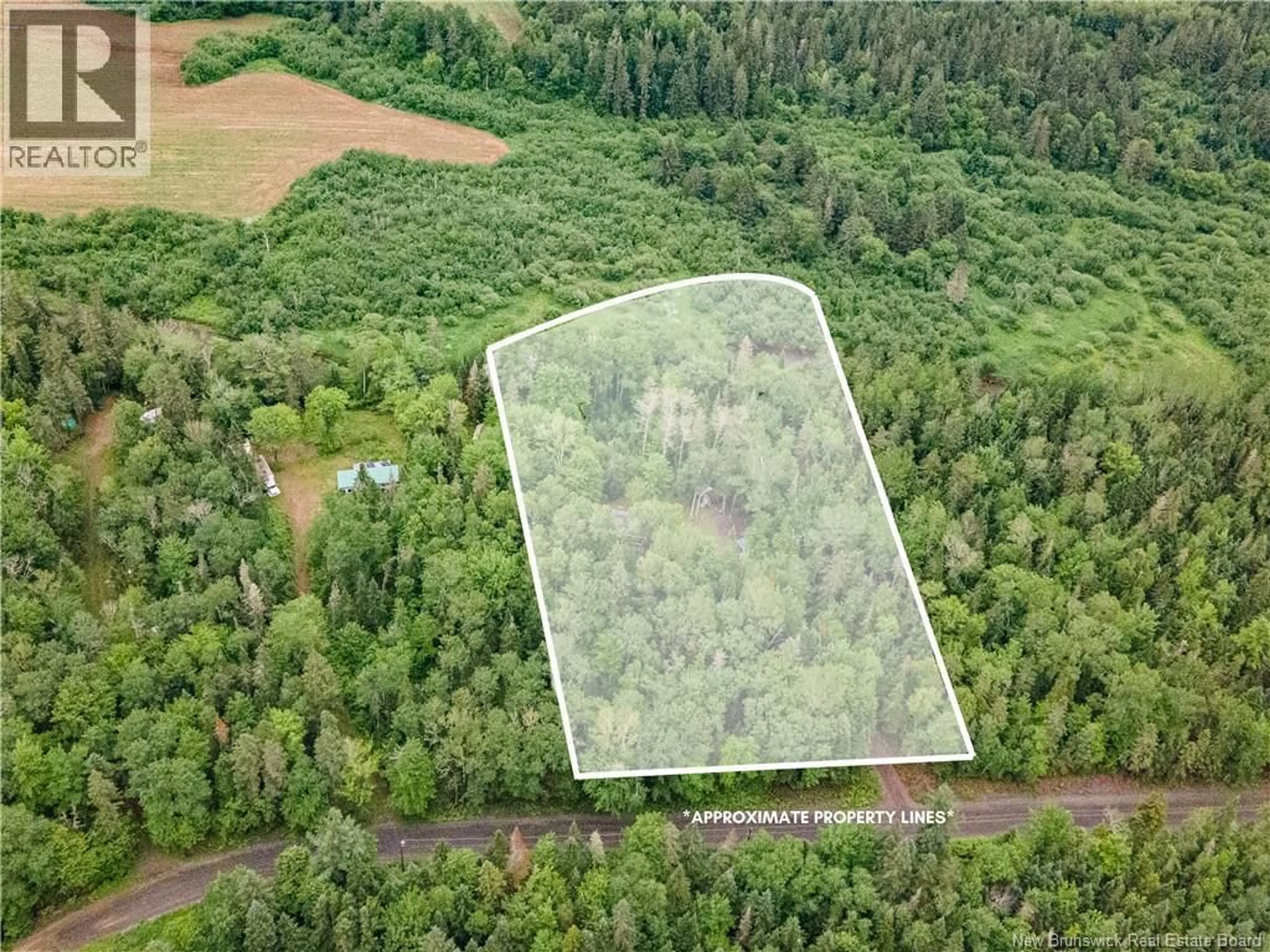 A pic from outside/outdoor area/front of a property/back of a property/a pic from drone, forest/trees view for 76 BACK ROAD, Summerfield New Brunswick E4G4G3