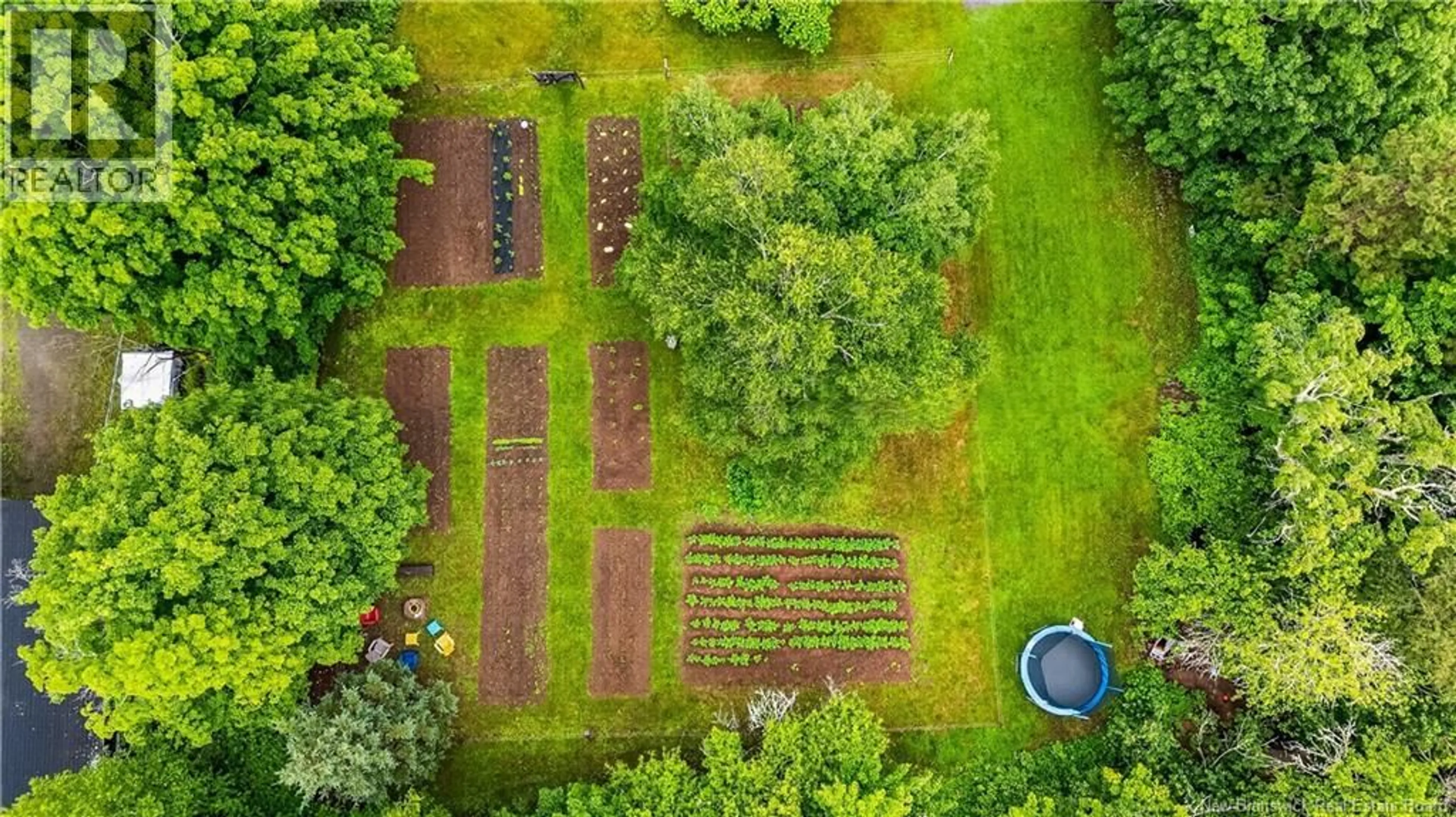 A pic from outside/outdoor area/front of a property/back of a property/a pic from drone, forest/trees view for 3010 MAIN STREET, Hillsborough New Brunswick E4H2Z2