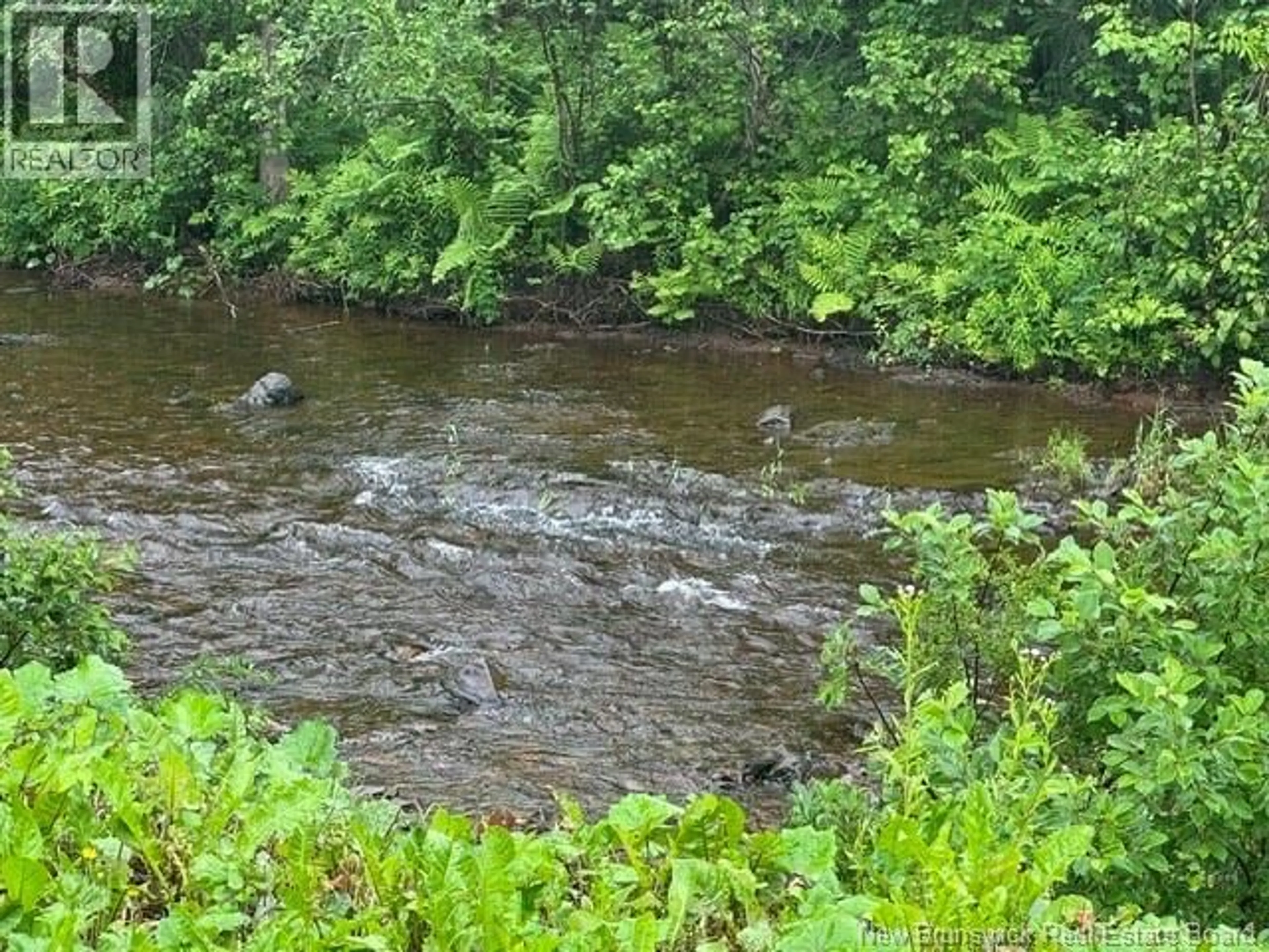 Blurry image for 514 HOWARD BROOK ROAD, Howard Brook New Brunswick E7P2J2