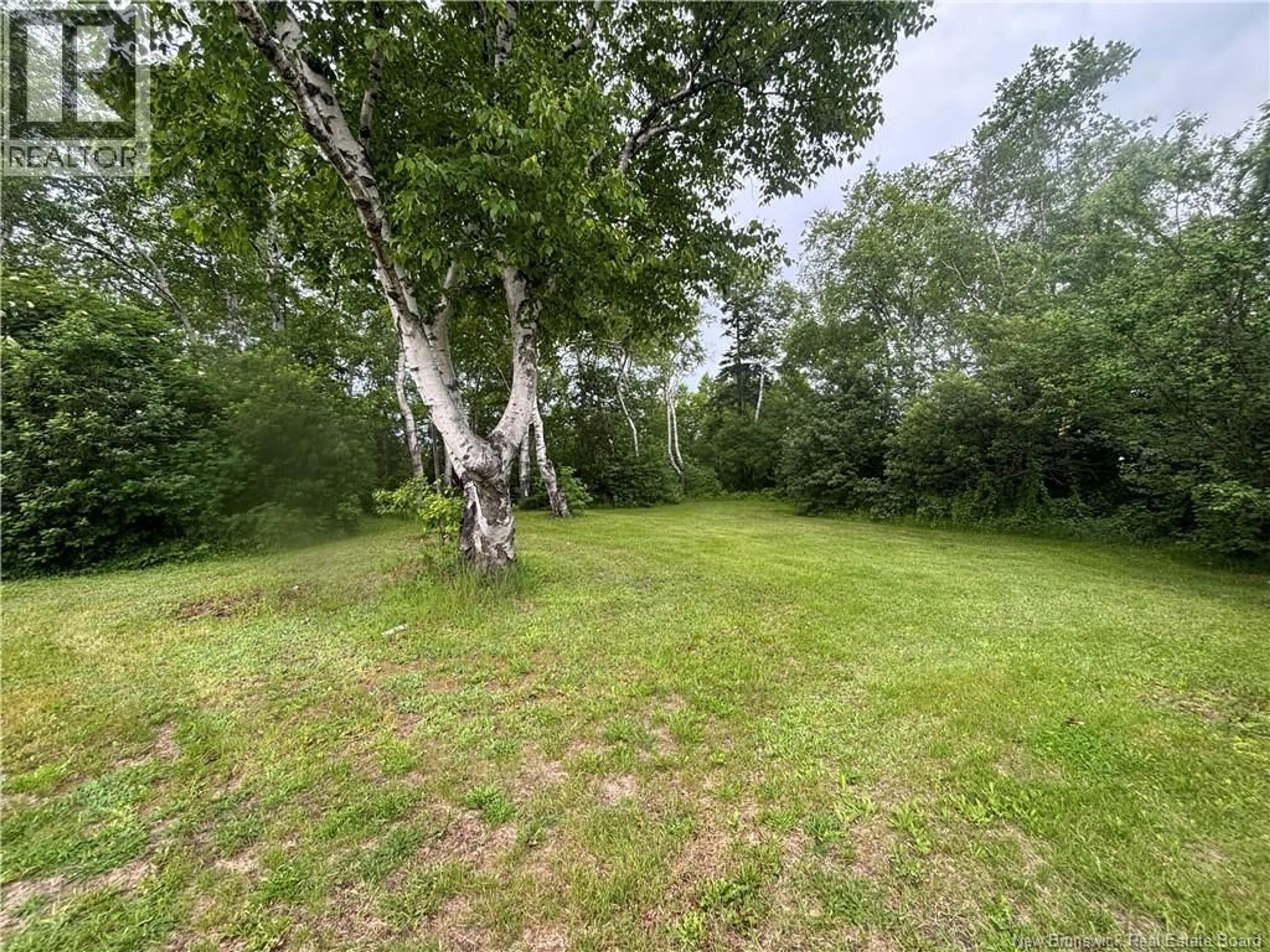 A pic from outside/outdoor area/front of a property/back of a property/a pic from drone, forest/trees view for 2182 MAIN STREET, Belledune New Brunswick E8G2M4
