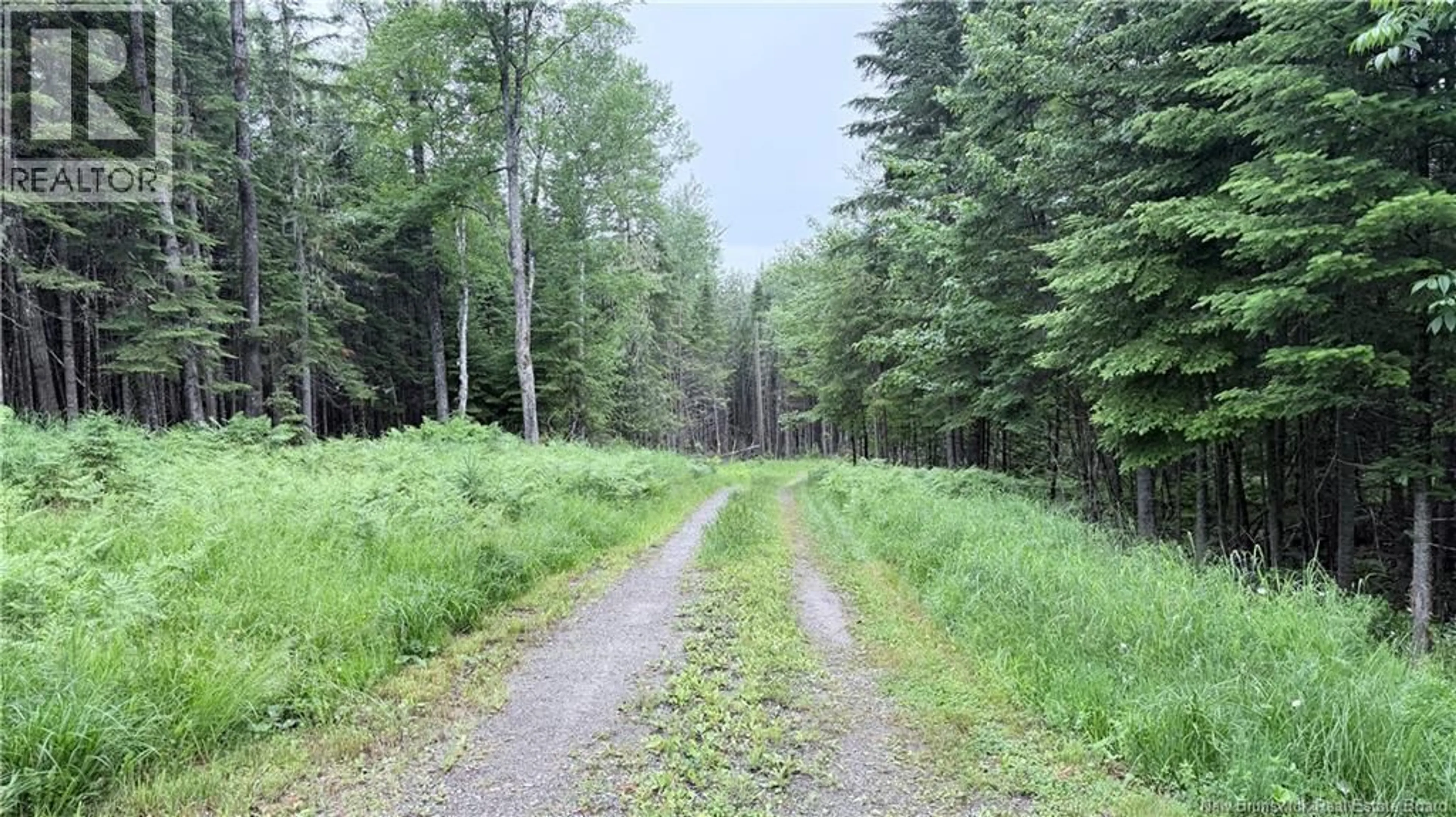 Blurry image for 720 ENTERPRISE ROAD, Enterprise New Brunswick E7G1M3