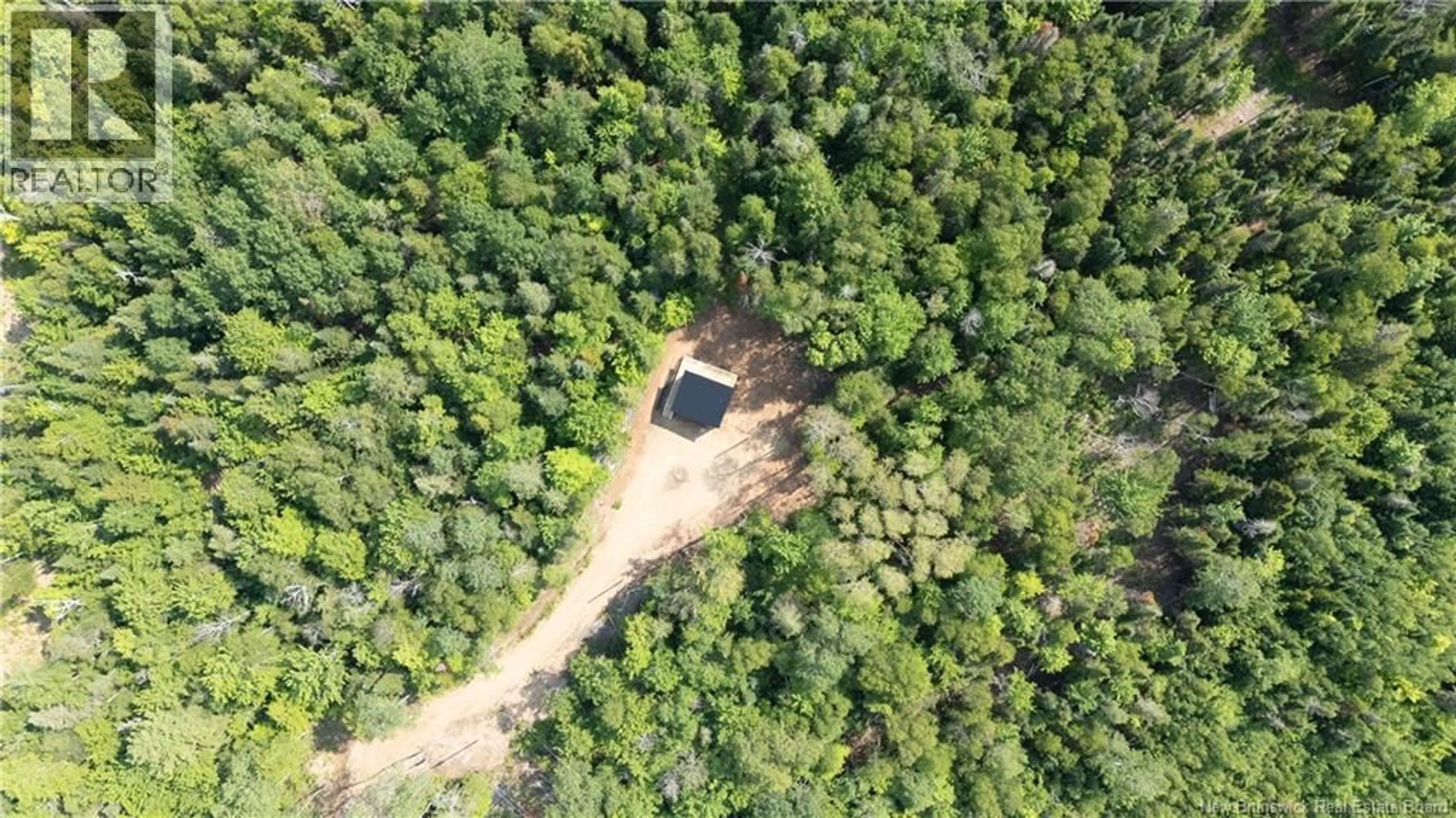 A pic from outside/outdoor area/front of a property/back of a property/a pic from drone, forest/trees view for 110 BEECH HILL, Weldon New Brunswick E4H4N5