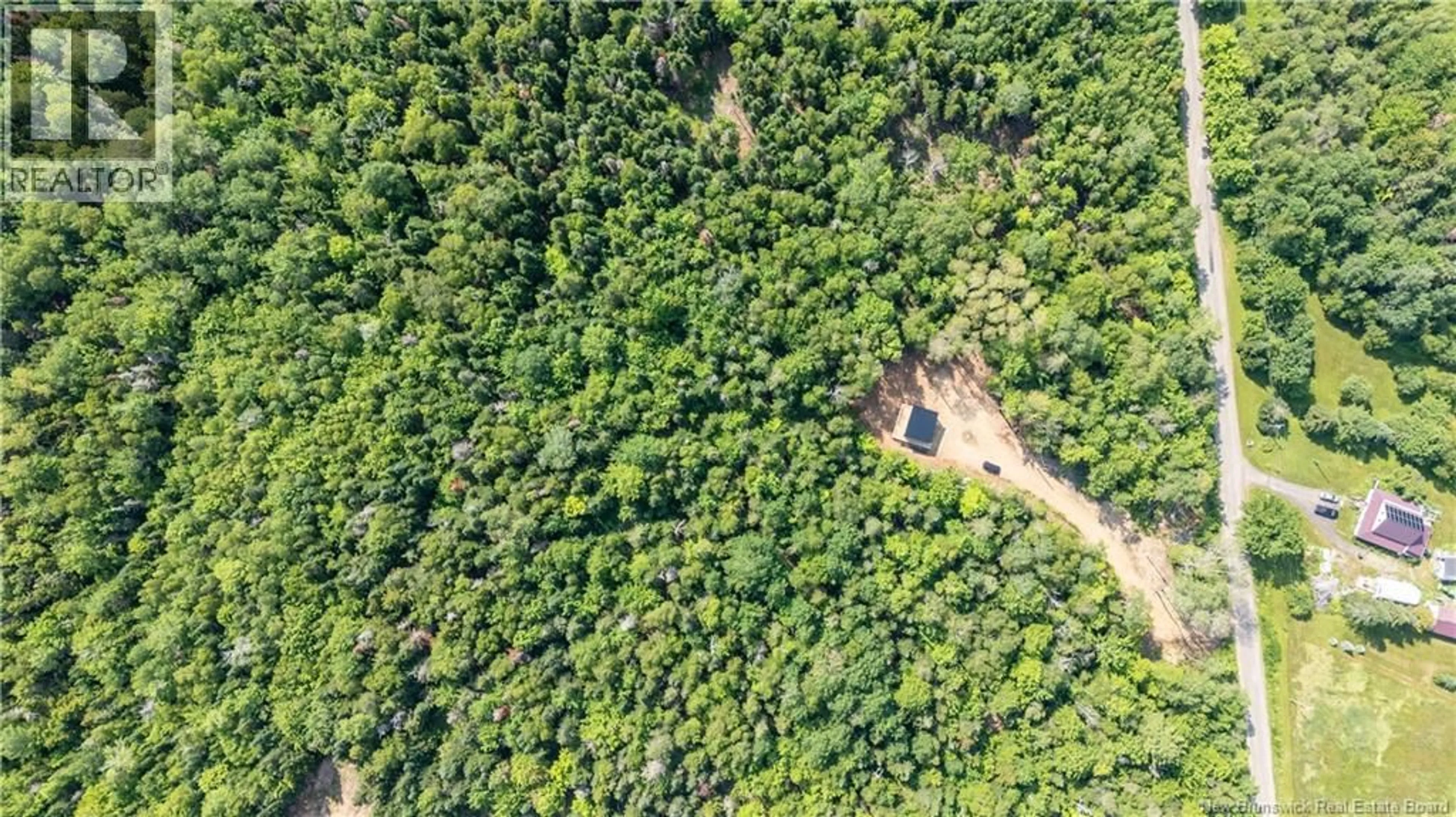 A pic from outside/outdoor area/front of a property/back of a property/a pic from drone, forest/trees view for 110 BEECH HILL, Weldon New Brunswick E4H4N5