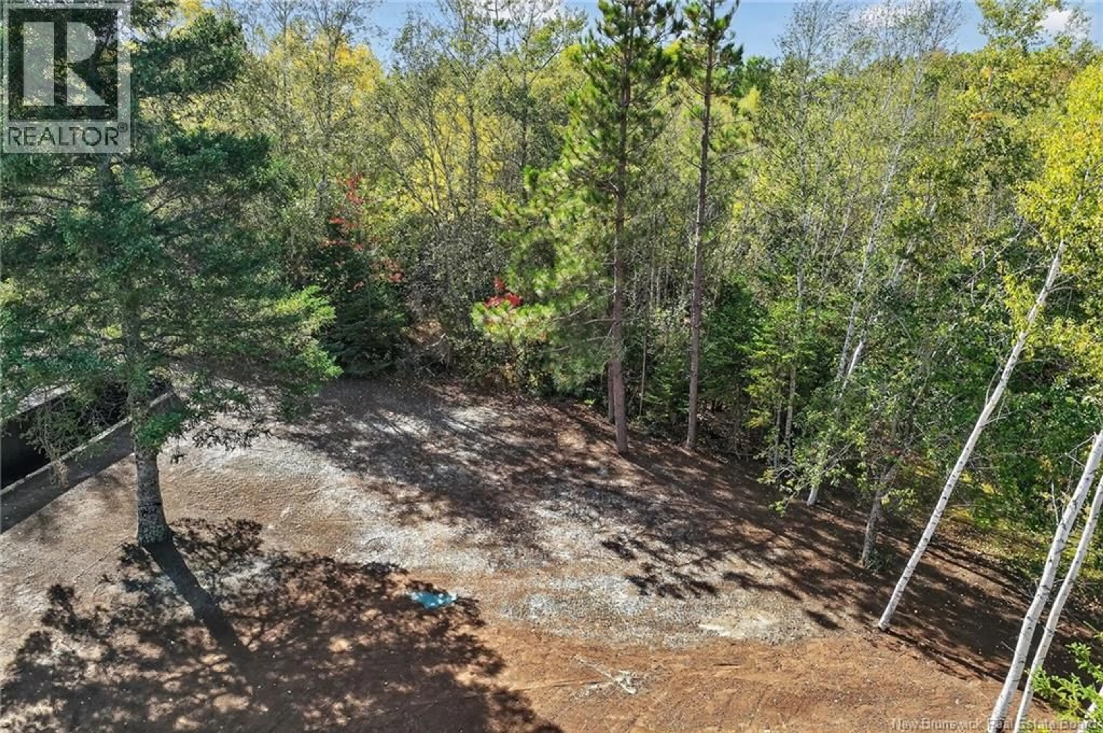 A pic from outside/outdoor area/front of a property/back of a property/a pic from drone, forest/trees view for 141 CARTIER, Shediac New Brunswick E4P1L3