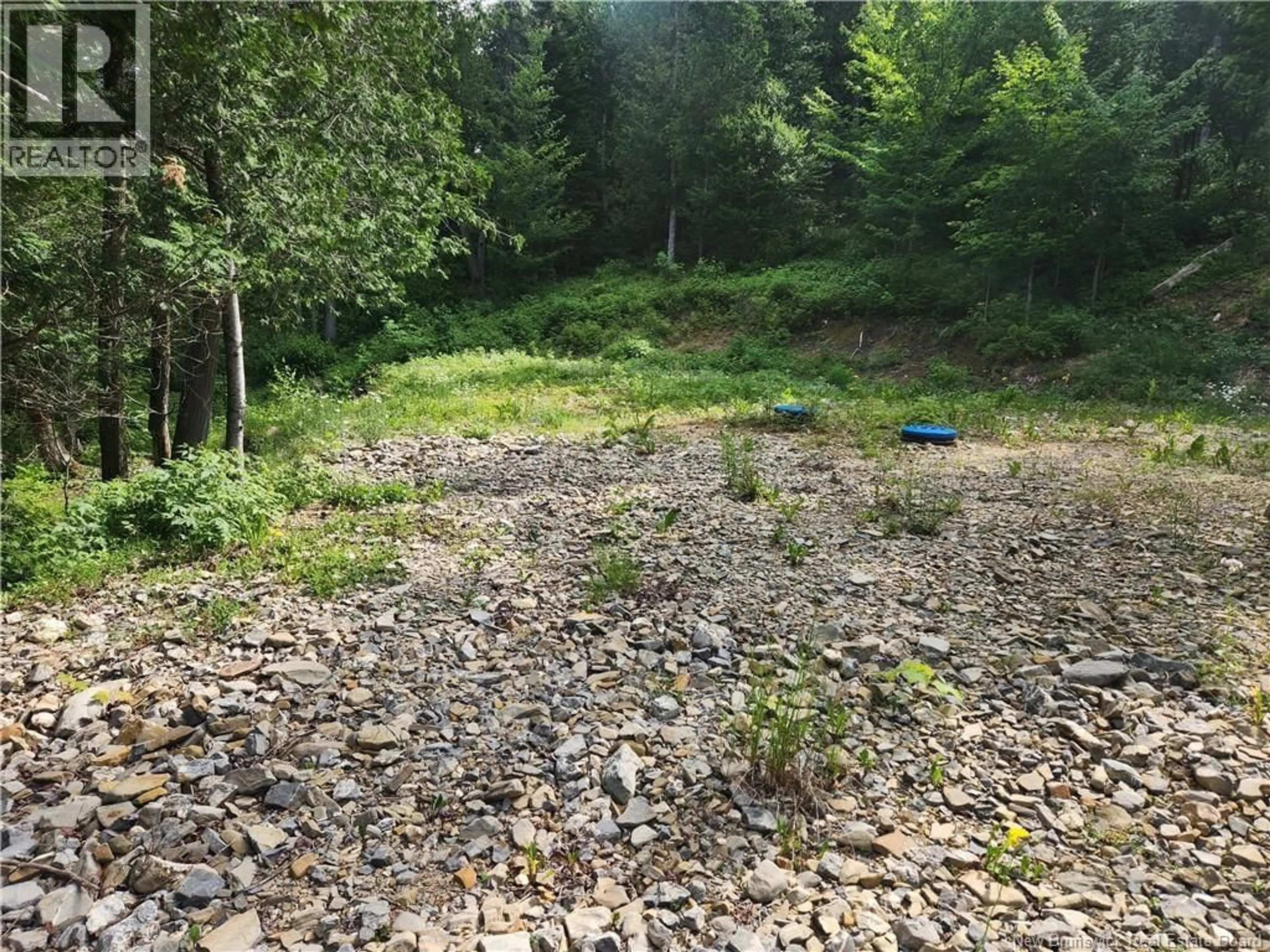 A pic from outside/outdoor area/front of a property/back of a property/a pic from drone, forest/trees view for 00 A PARENT ROAD, Saint-Quentin New Brunswick E8A2R7