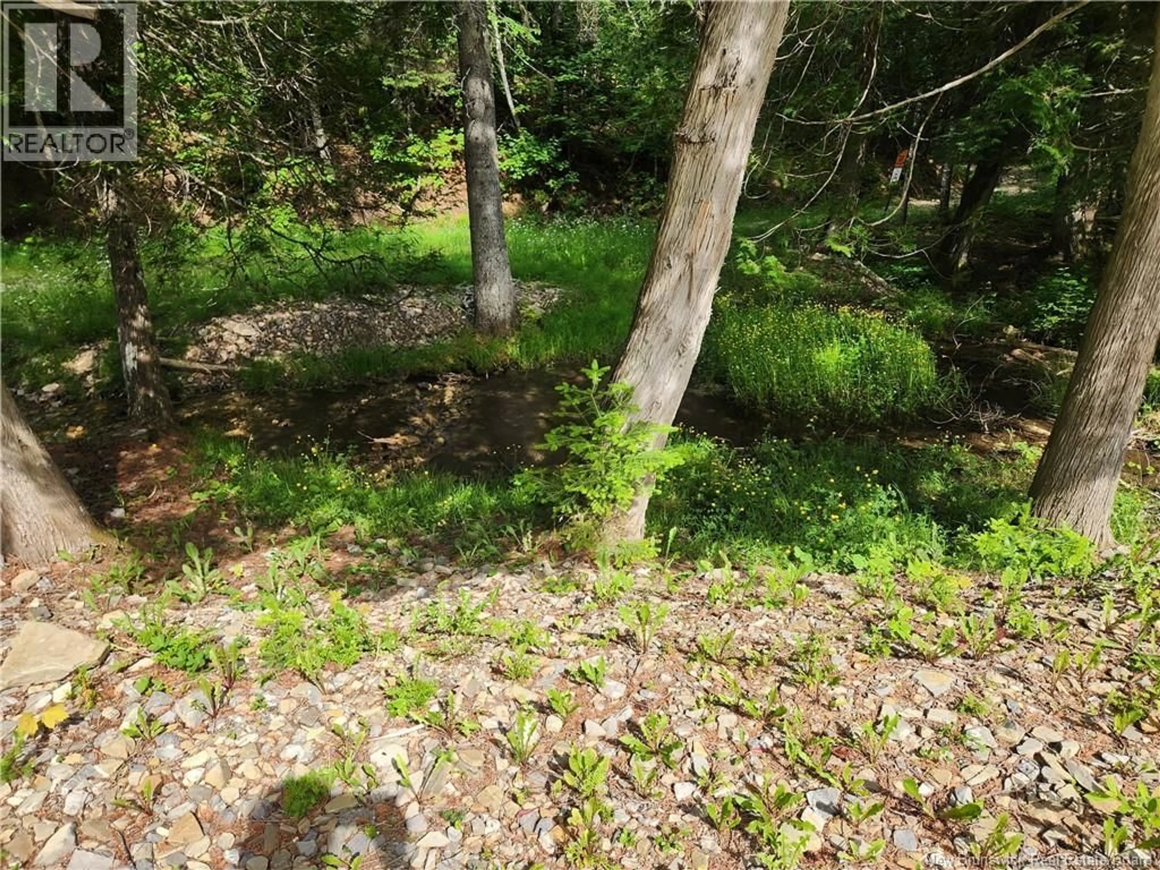 Blurry image for 00 A PARENT ROAD, Saint-Quentin New Brunswick E8A2R7