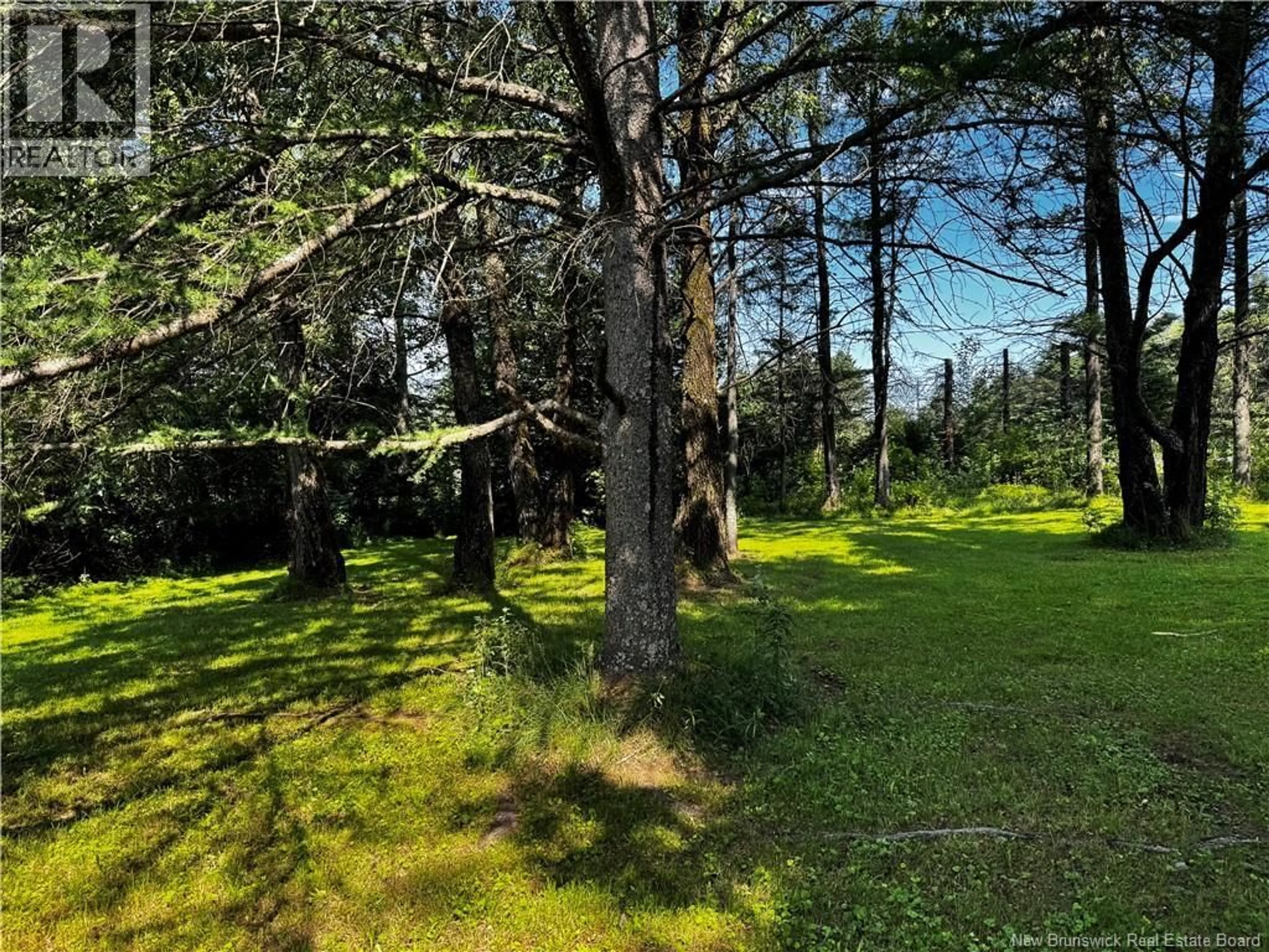 A pic from outside/outdoor area/front of a property/back of a property/a pic from drone, forest/trees view for 1076 BAISLEY ROAD, Saint-Jacques New Brunswick E7B2A3