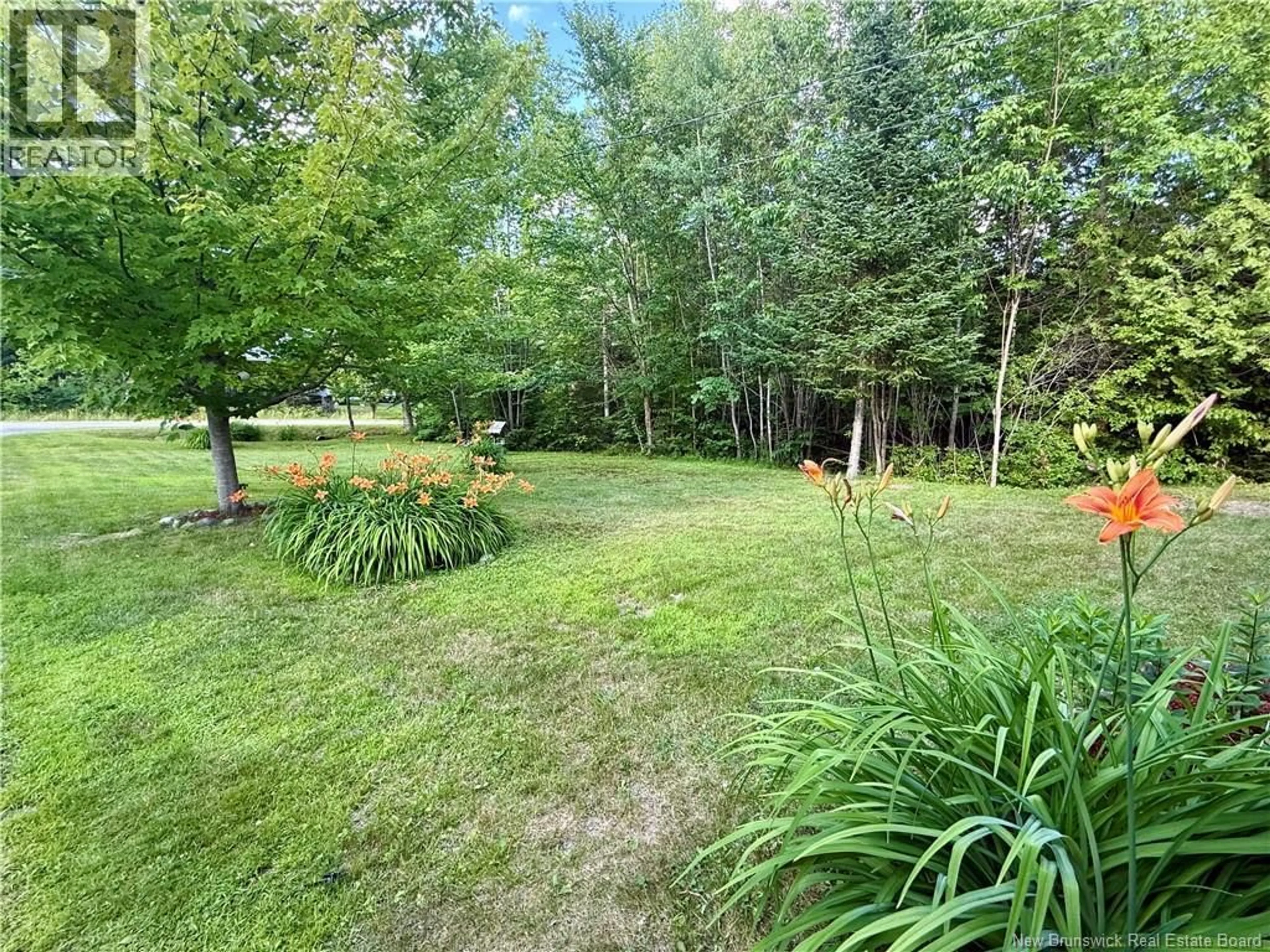 A pic from outside/outdoor area/front of a property/back of a property/a pic from drone, forest/trees view for 333 MCMINN ROAD, Rollingdam New Brunswick E5A1B2