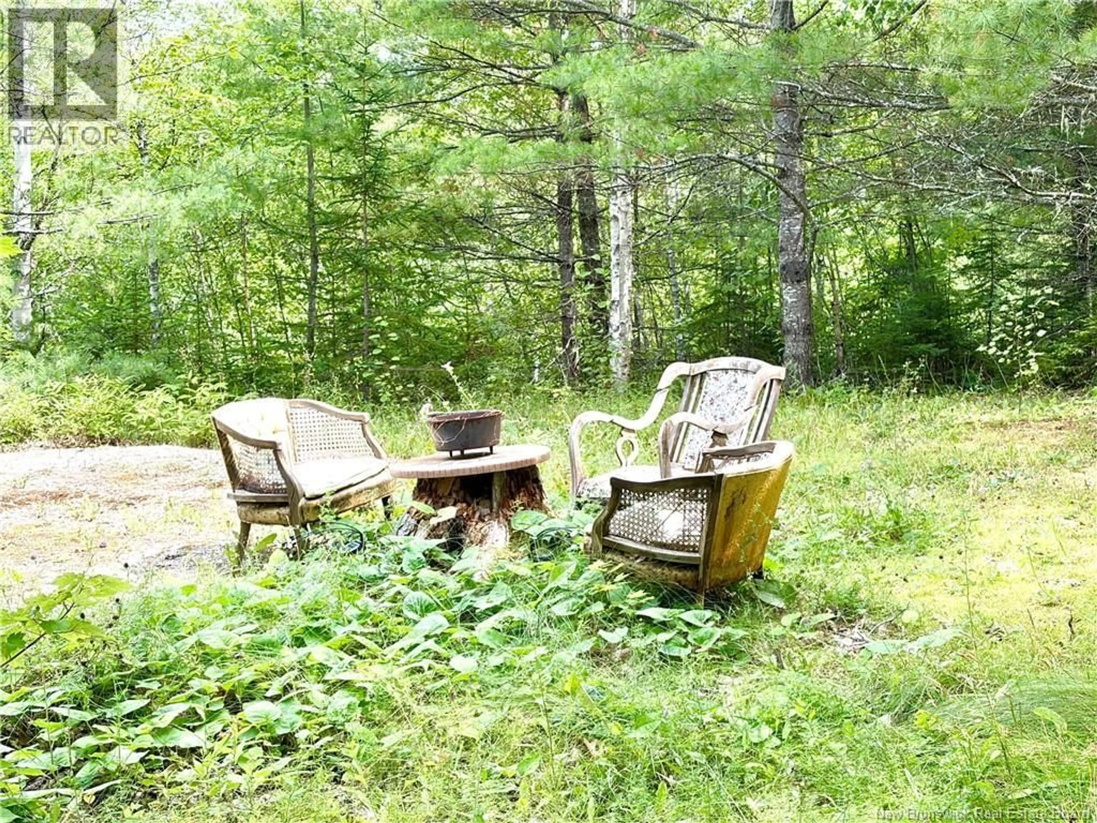 Patio, forest/trees view for 34 TOWER ROAD, Havelock New Brunswick E4Z5T8