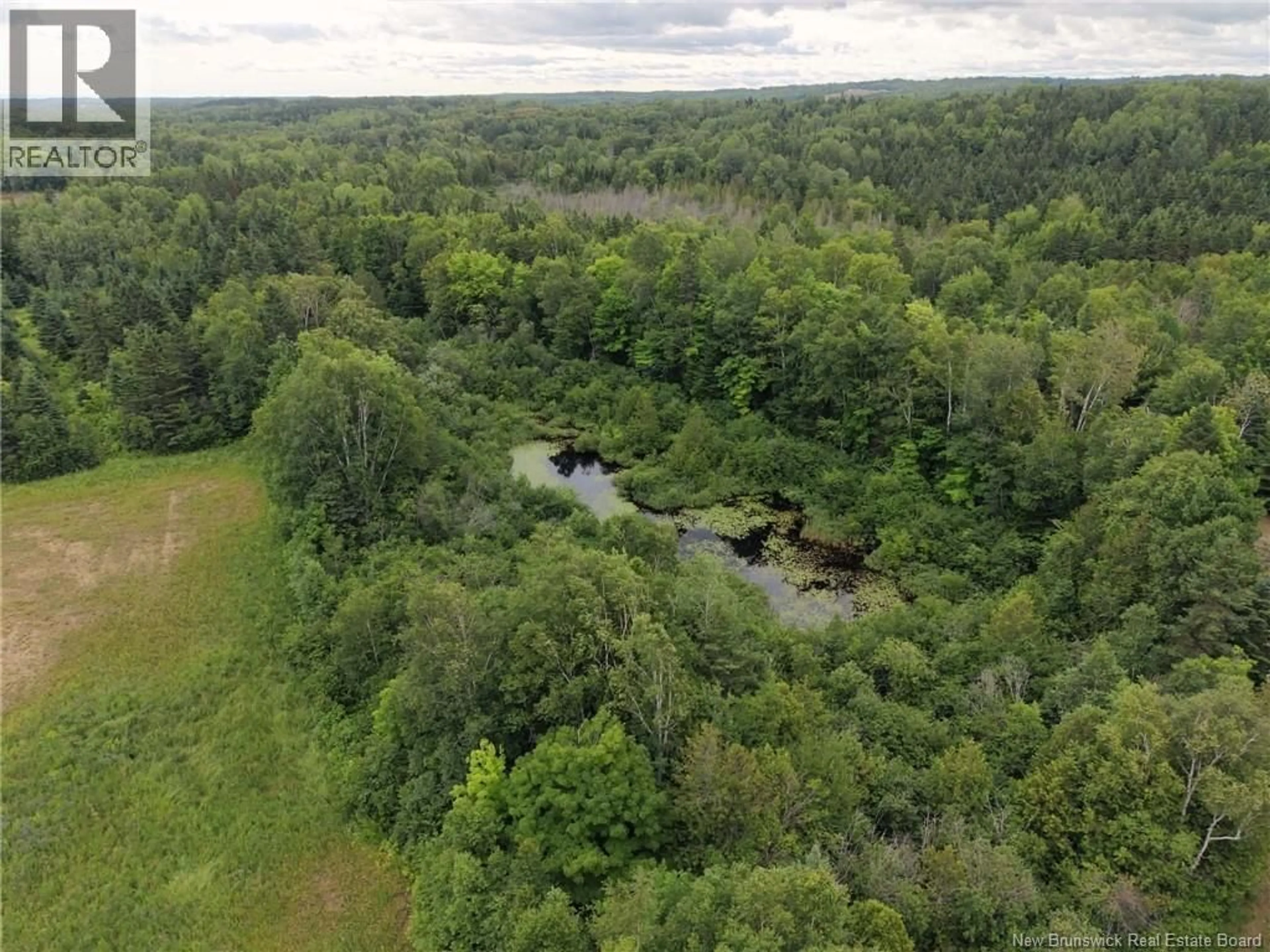 A pic from outside/outdoor area/front of a property/back of a property/a pic from drone, forest/trees view for 1359 DES PIONNIERS AVENUE, Balmoral New Brunswick E8E1B7