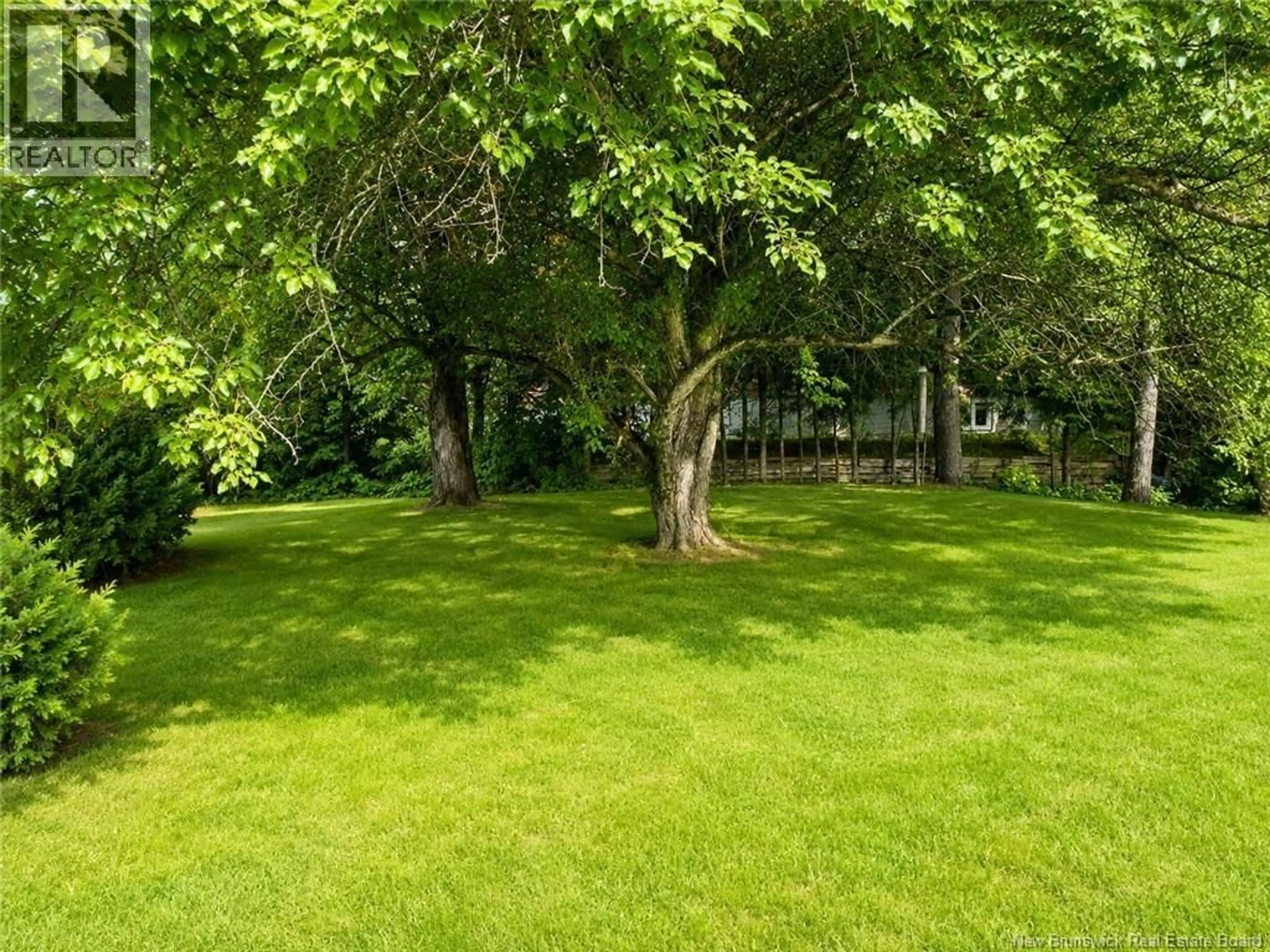 A pic from outside/outdoor area/front of a property/back of a property/a pic from drone, forest/trees view for 688 EH DAIGLE BOULEVARD, Grand-Sault/Grand Falls New Brunswick E3Z2S1