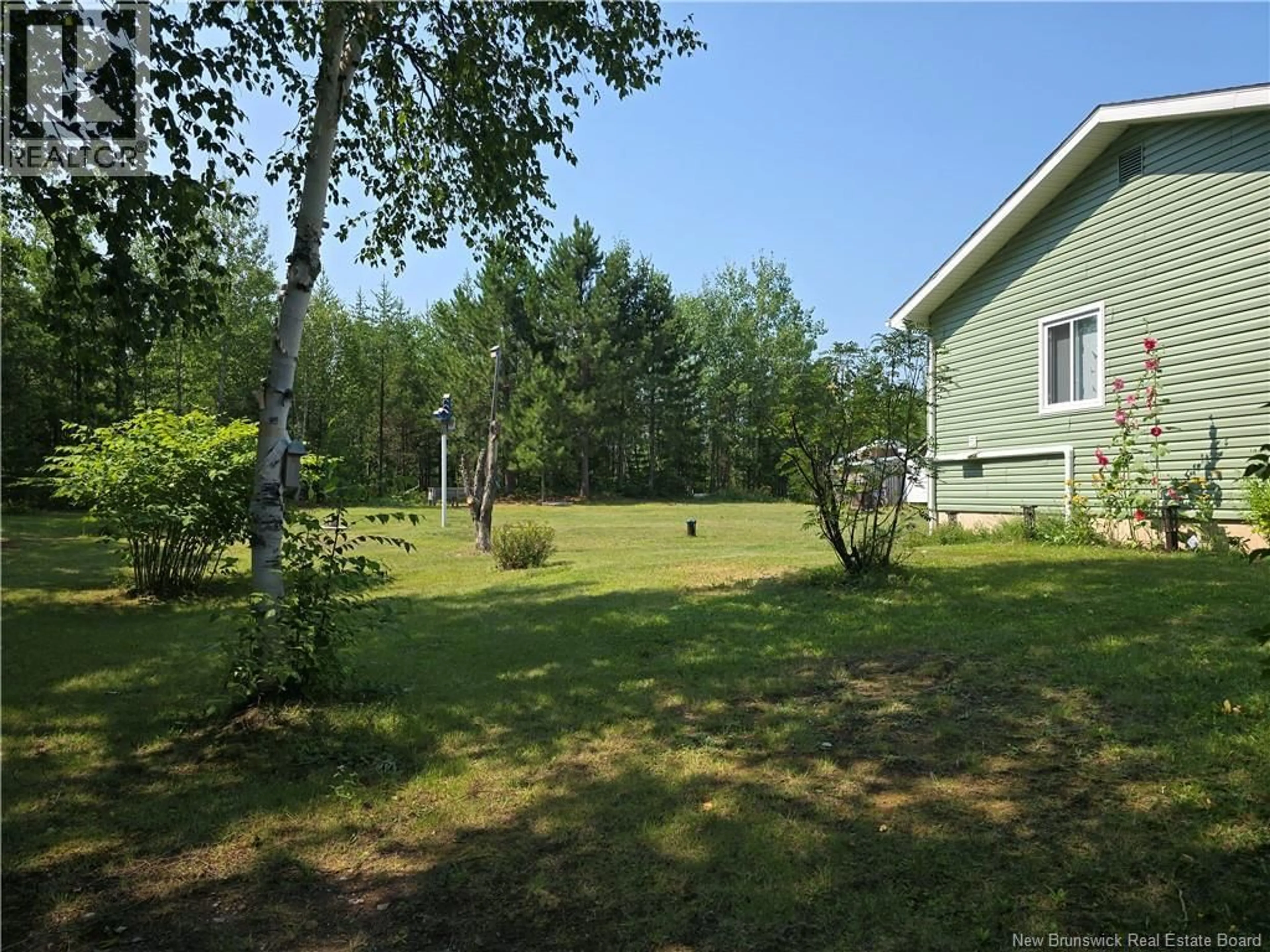 A pic from outside/outdoor area/front of a property/back of a property/a pic from drone, forest/trees view for 3560 ROUTE 134, Miramichi Road New Brunswick E8L1S6