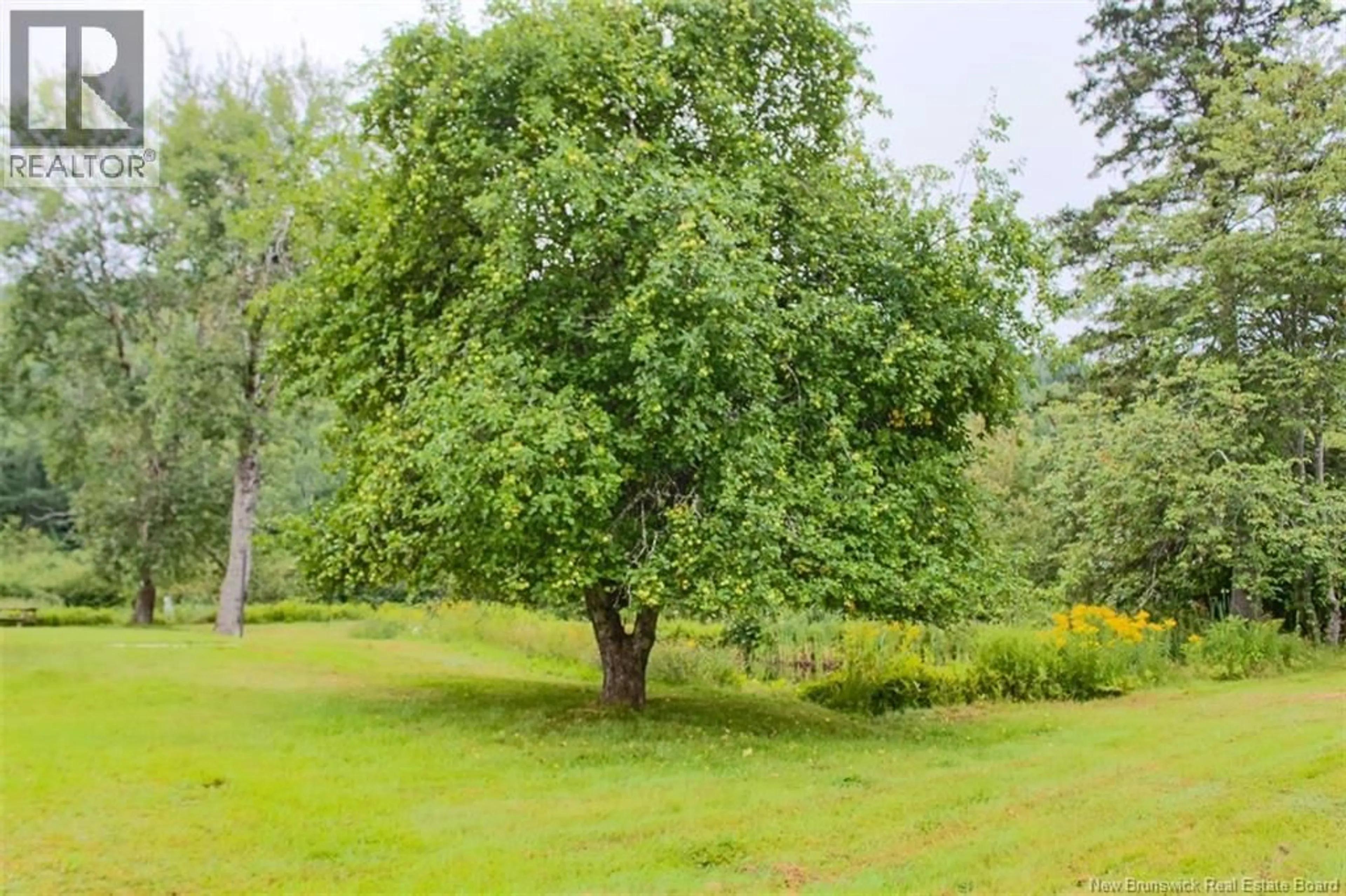 Patio, forest/trees view for 1393 ROUTE 845, Clifton Royal New Brunswick E5S2G4