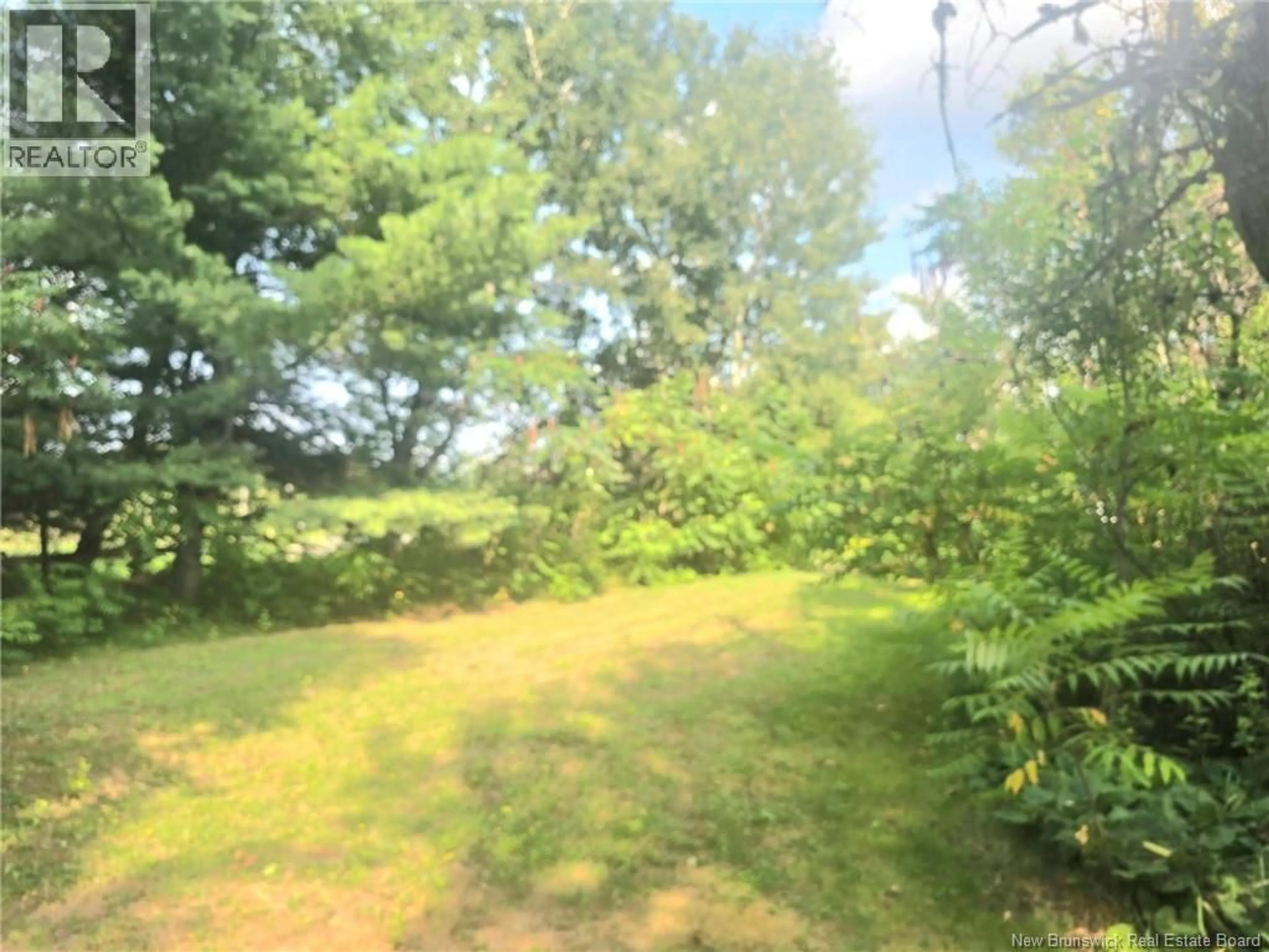 A pic from outside/outdoor area/front of a property/back of a property/a pic from drone, forest/trees view for 11751 RTE 8 UPPER BLACKVILLE RTE, Upper Blackville New Brunswick E9B1Z5