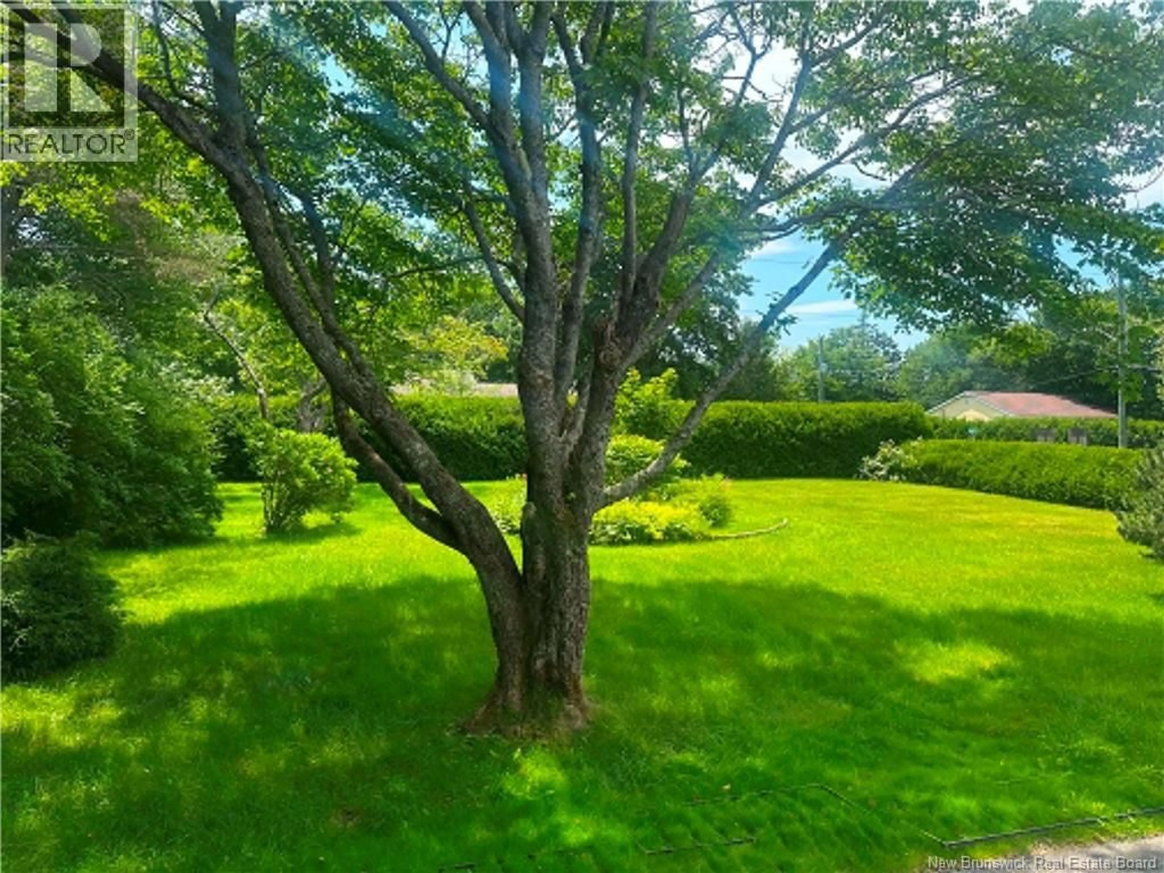 A pic from outside/outdoor area/front of a property/back of a property/a pic from drone, forest/trees view for 110 EVERGREEN AVENUE, Saint John New Brunswick E2N1H2