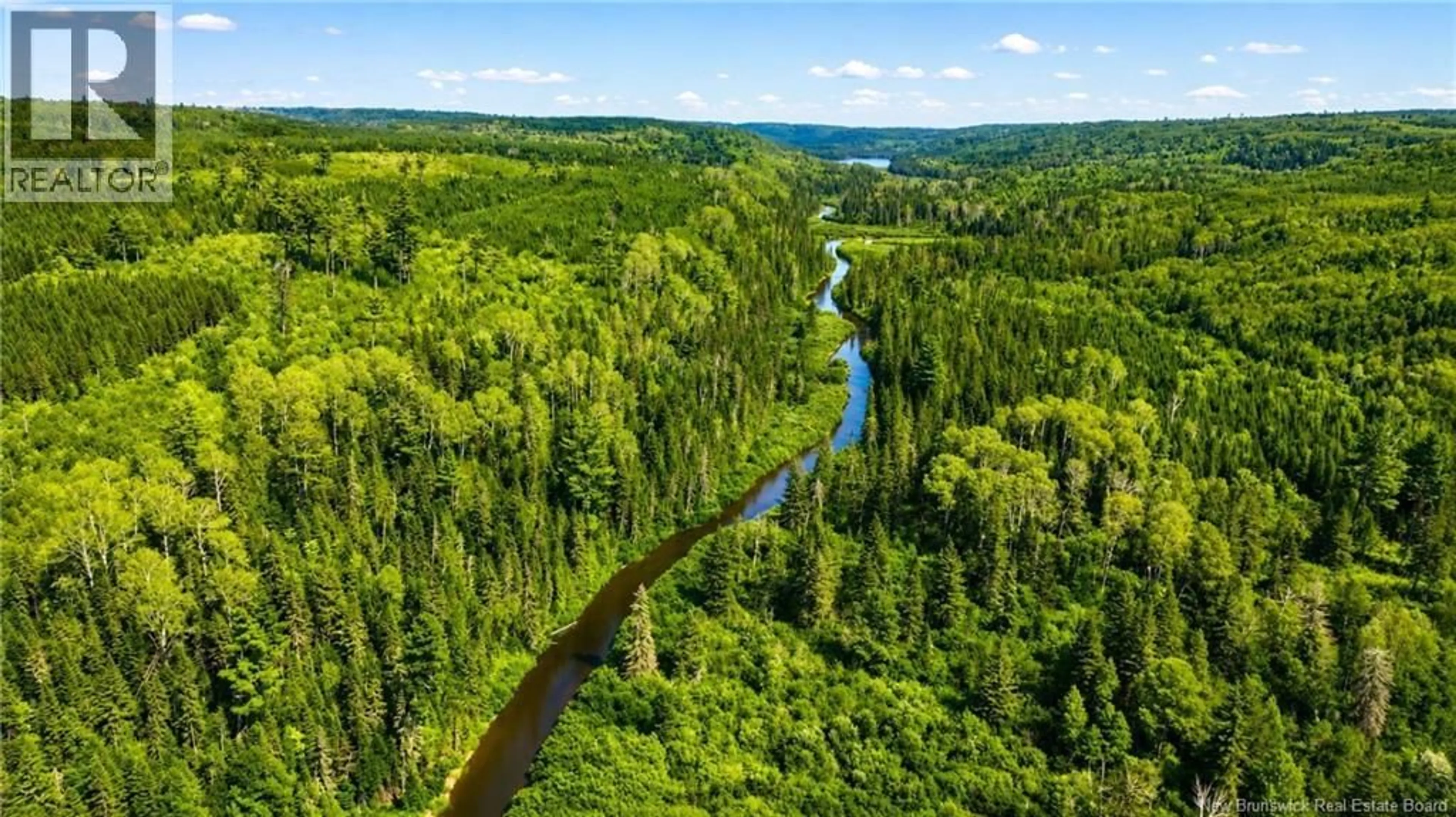 A pic from outside/outdoor area/front of a property/back of a property/a pic from drone, forest/trees view for LOT & CAMP FOREST MOTOR ROAD, Sormany New Brunswick E2E2E2