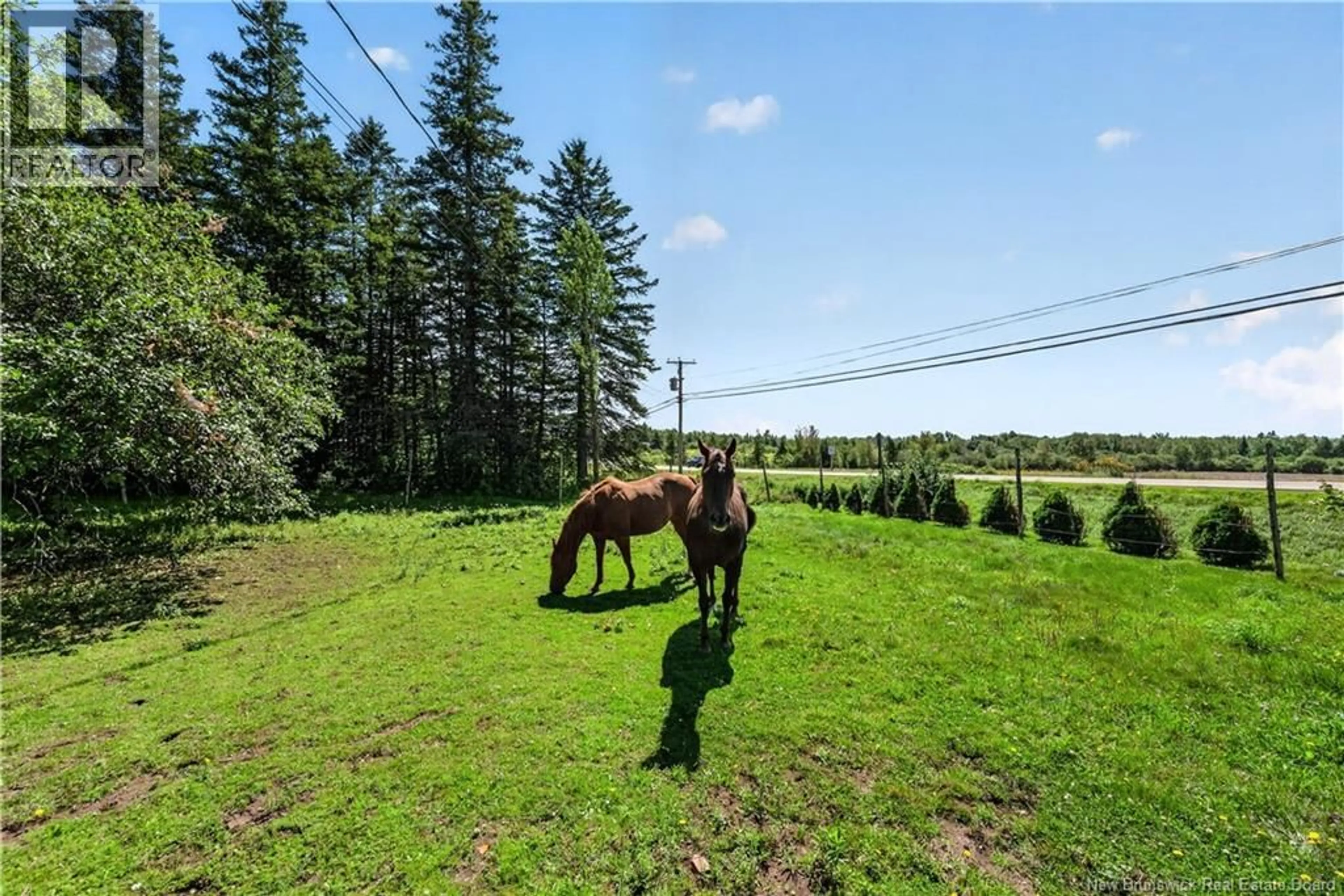 A pic from outside/outdoor area/front of a property/back of a property/a pic from drone, forest/trees view for 3413 ROUTE 126, Lutes Mountain New Brunswick E1G2X3
