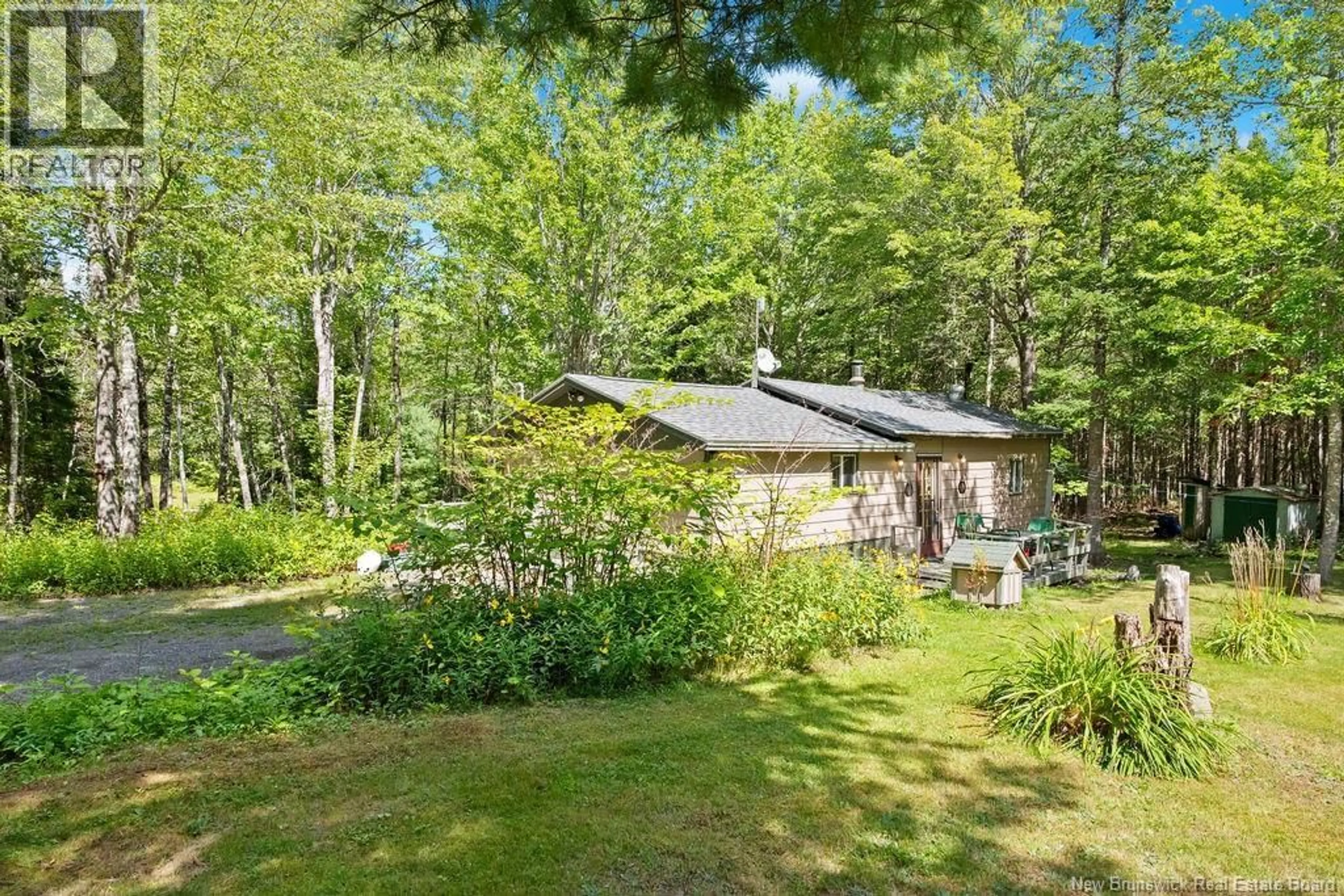A pic from outside/outdoor area/front of a property/back of a property/a pic from drone, forest/trees view for 20 HARPER SETTLEMENT ROAD, Anagance New Brunswick E4Z1E6