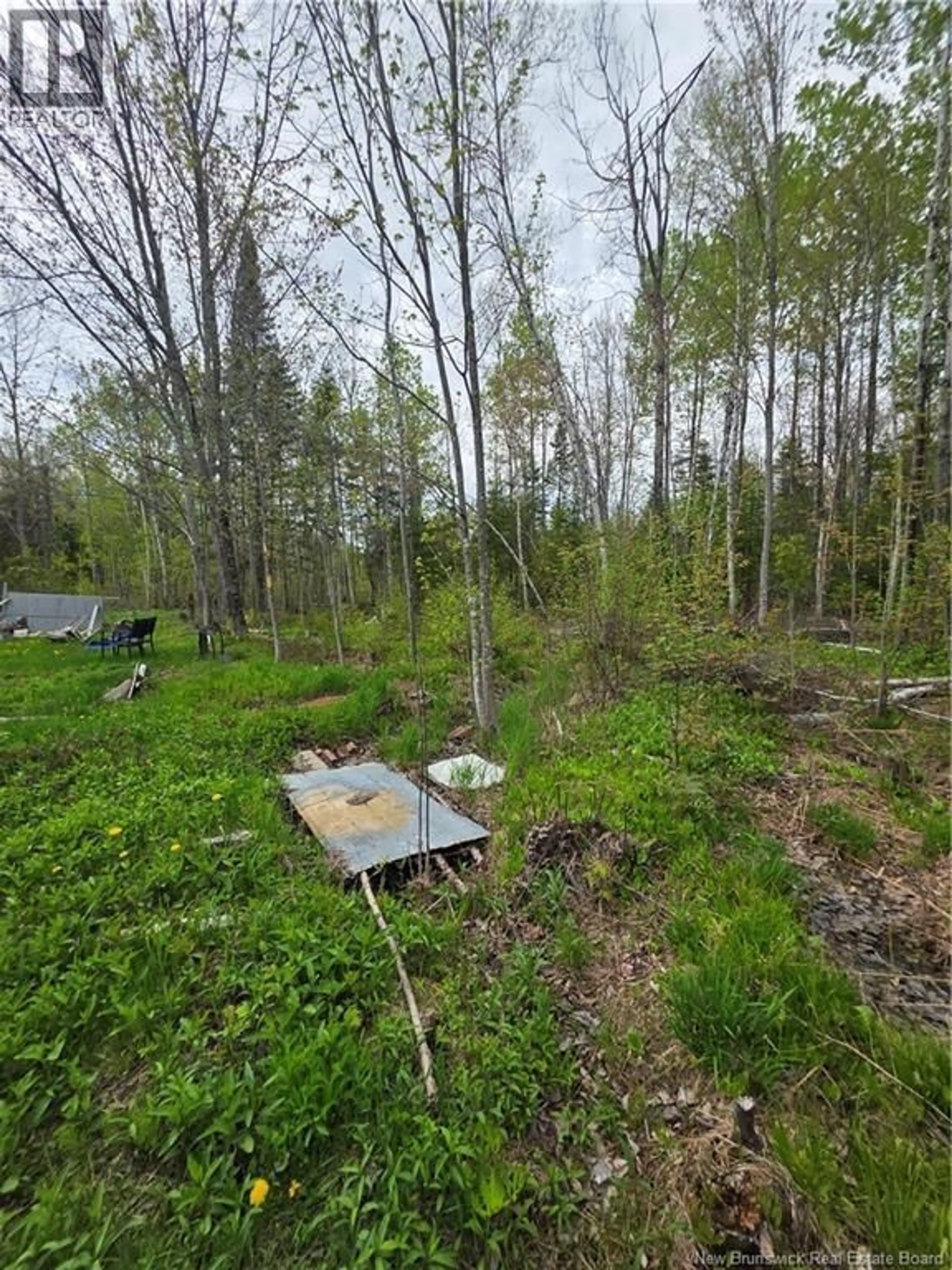 A pic from outside/outdoor area/front of a property/back of a property/a pic from drone, forest/trees view for 785 UPPER KILMARNOCK ROAD, Northampton New Brunswick E7N1B3