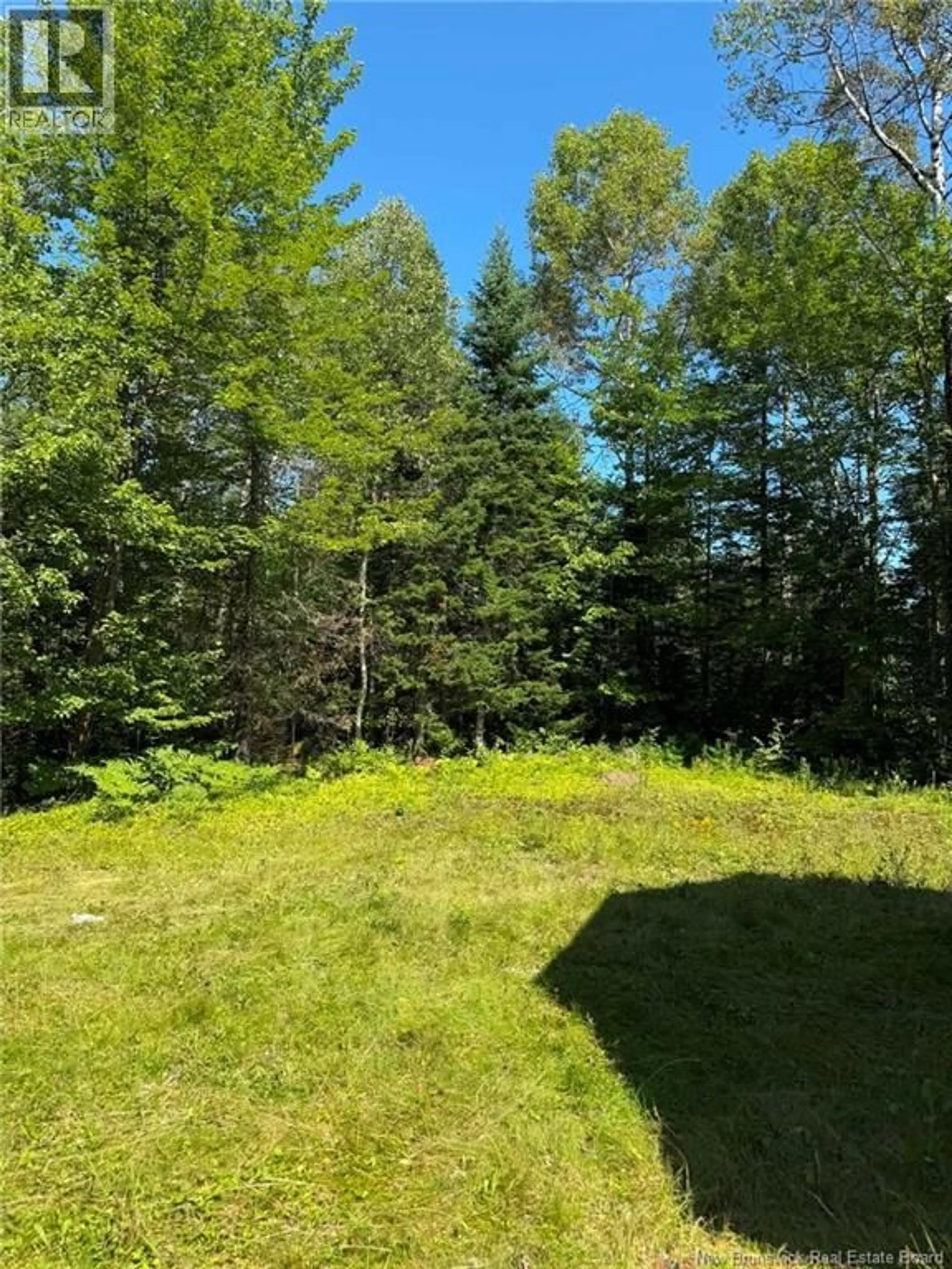 A pic from outside/outdoor area/front of a property/back of a property/a pic from drone, forest/trees view for 691 WILLIAMSTOWN ROAD, Williamstown New Brunswick E1V5G3