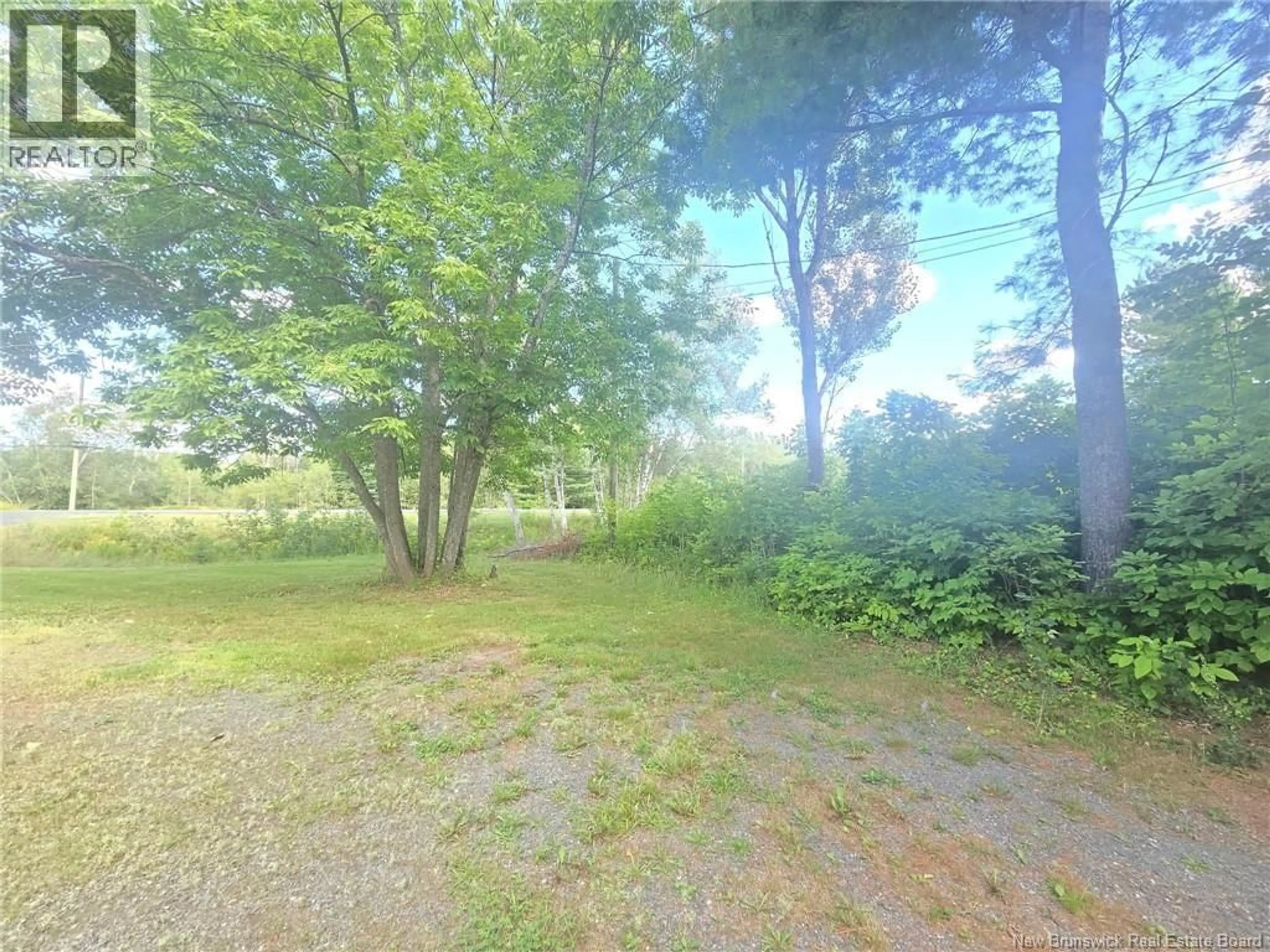 A pic from outside/outdoor area/front of a property/back of a property/a pic from drone, forest/trees view for 292 NELSON STREET, Miramichi New Brunswick E1N6A9