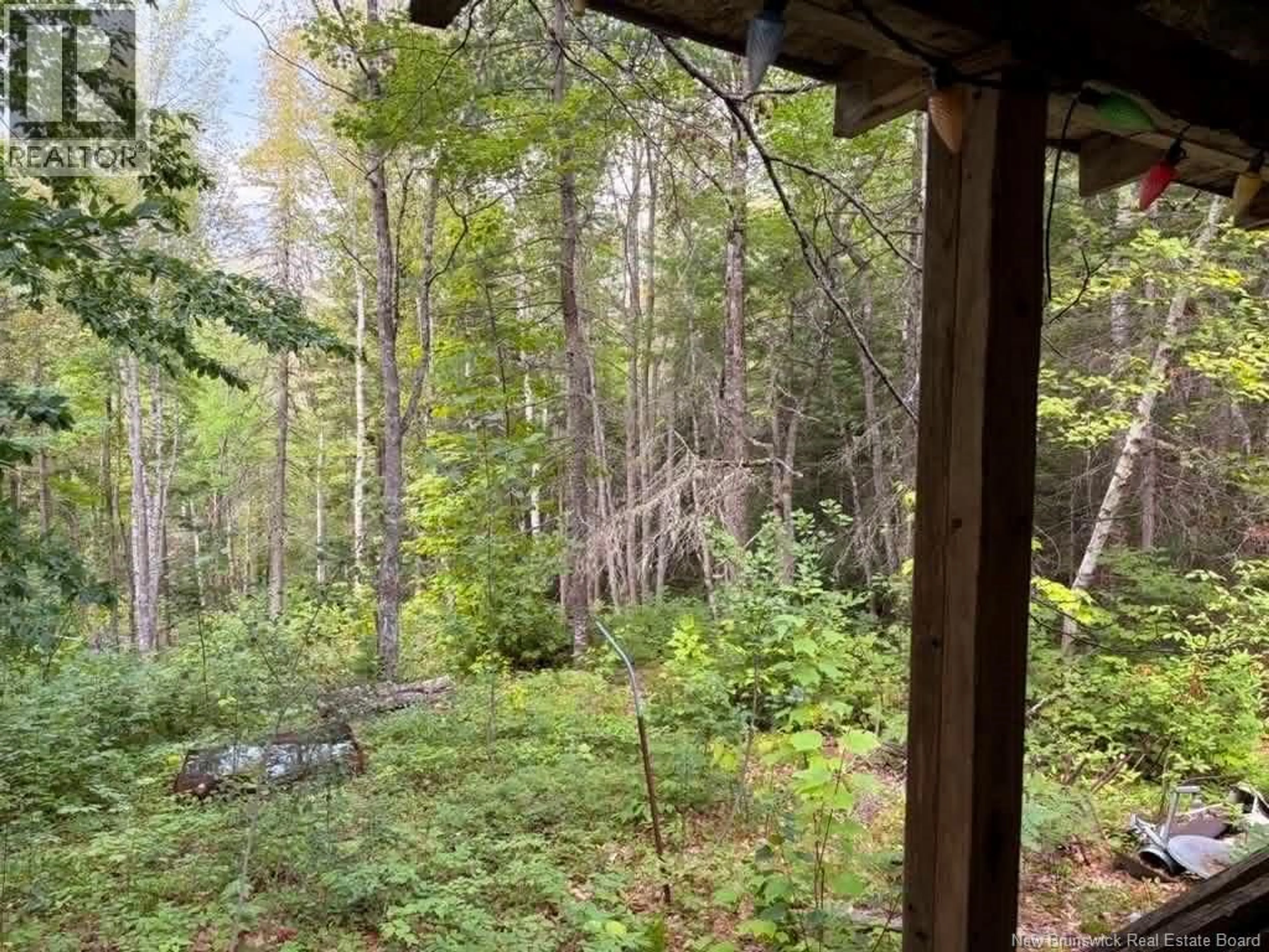 Unknown for Camp - Lot - 17 GREEN ROAD, Elgin New Brunswick E4Z1T6