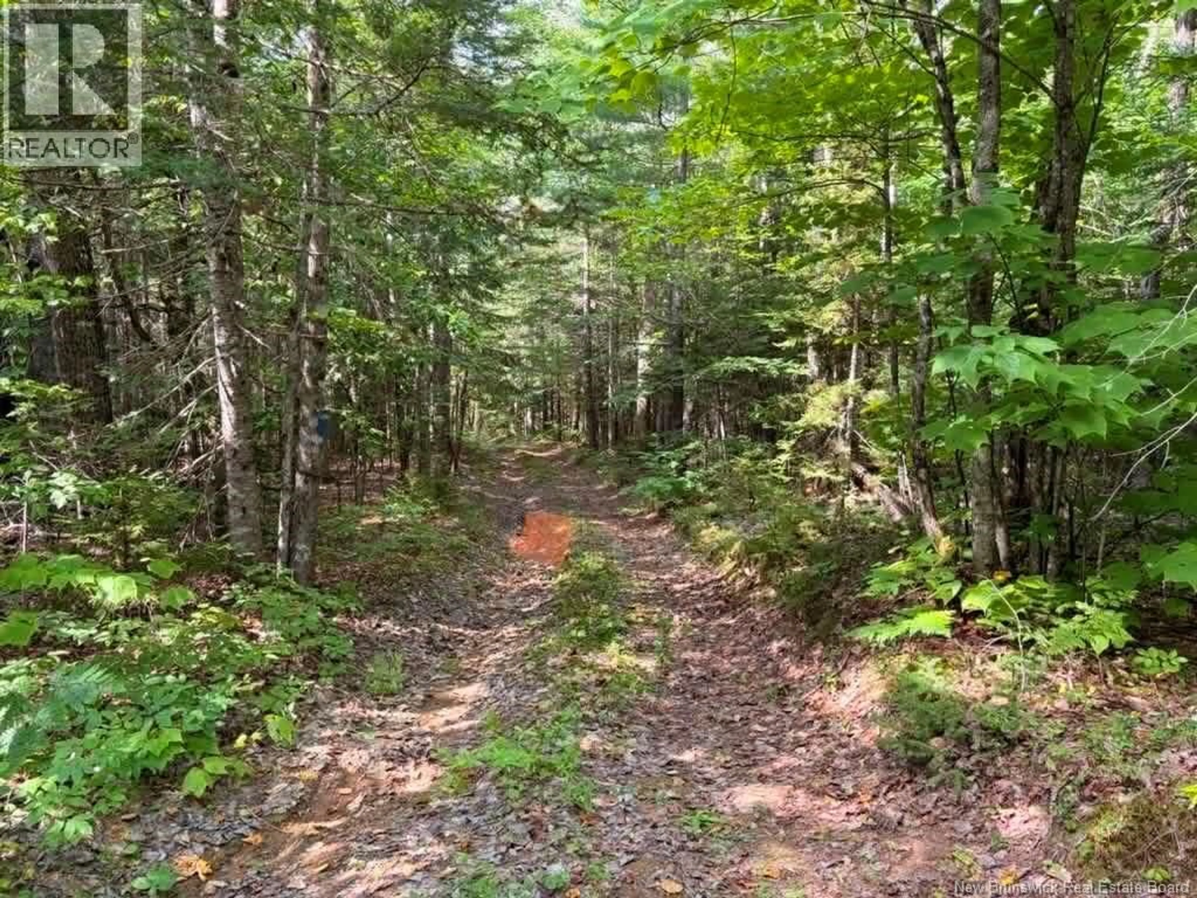 Unknown for Camp - Lot - 17 GREEN ROAD, Elgin New Brunswick E4Z1T6
