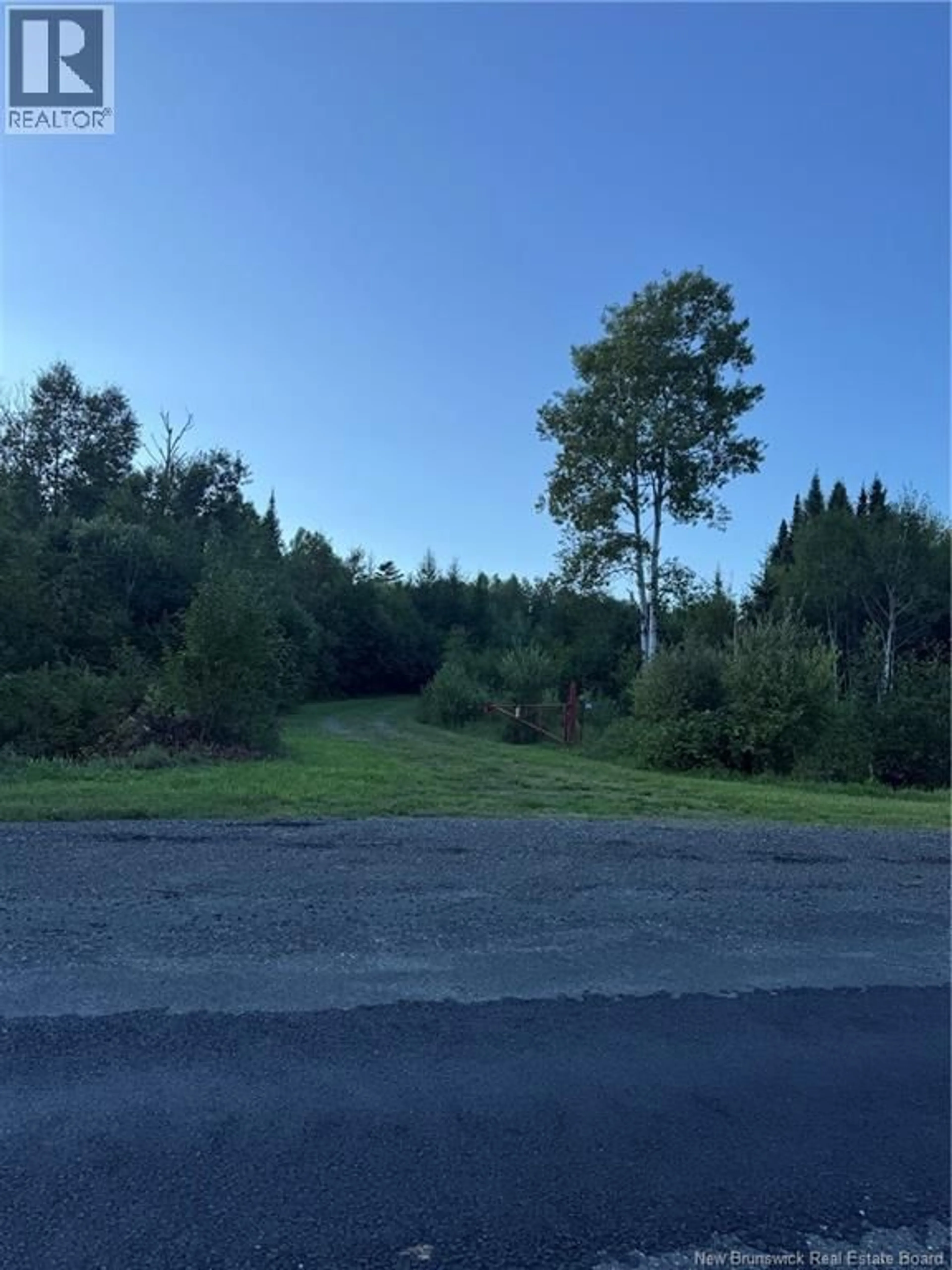A pic from outside/outdoor area/front of a property/back of a property/a pic from drone, forest/trees view for 2223 RTE 385, Two Brooks New Brunswick E7G3K7